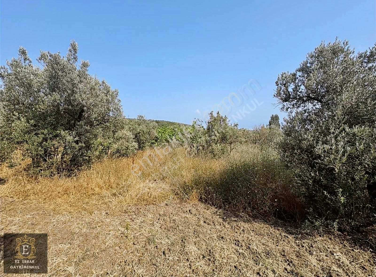 Mudanya İpekyayla'da 2750 M2, Yatırımlık Arazi - Görsel 17