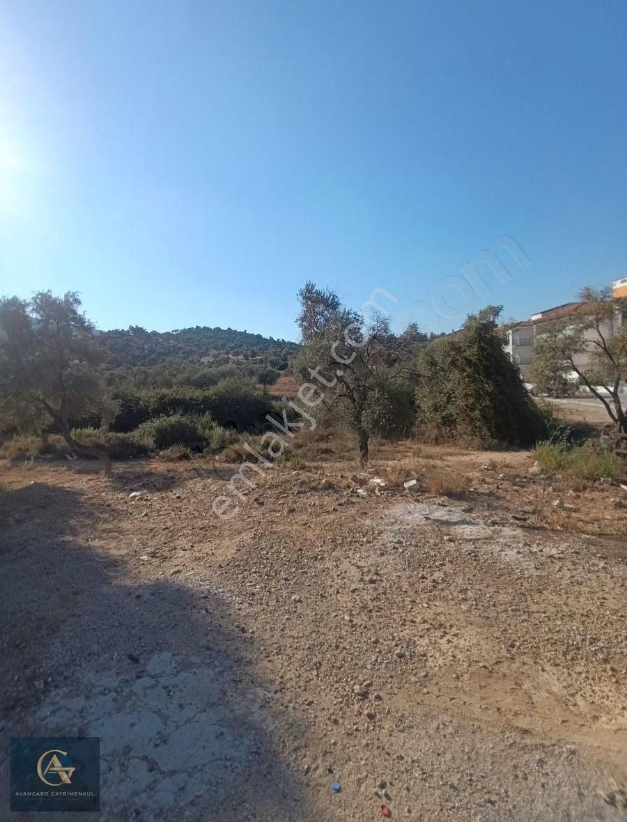 Burgaz Mahallesinde Satılık 500 M2 Arazi