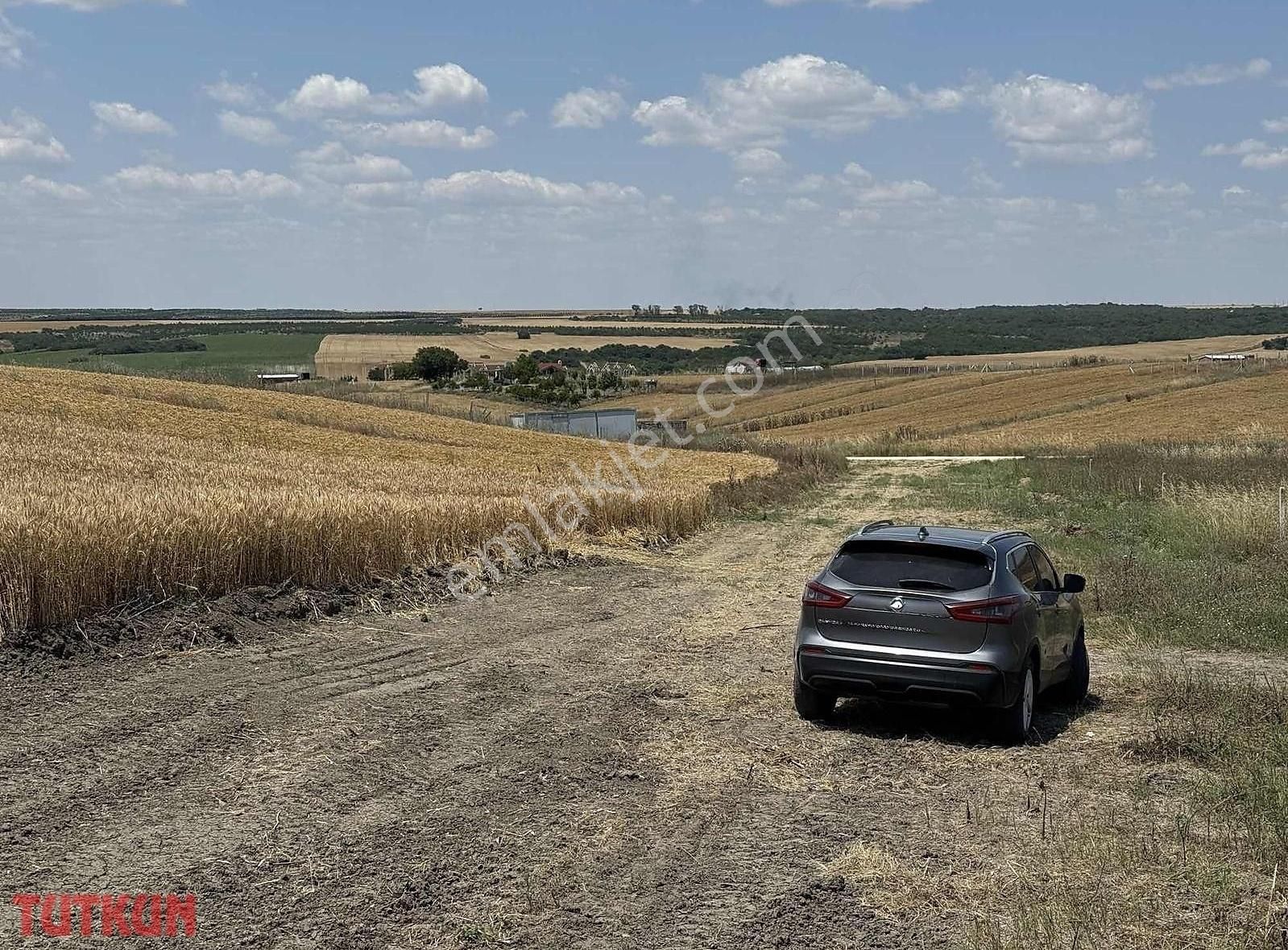 Aracı Yok Silivride 250m2 Konut İmarlı Arsa