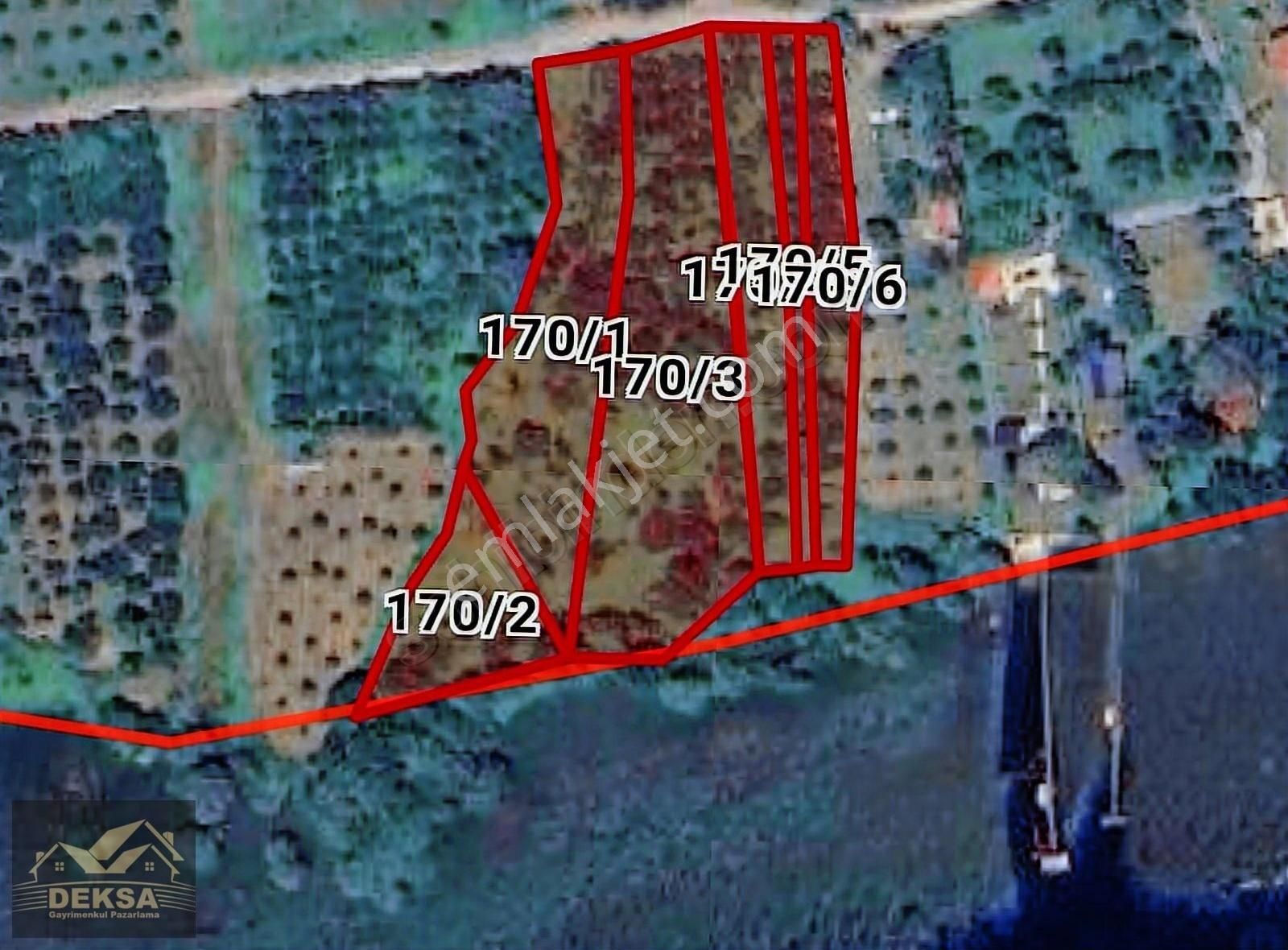 Kartepe Eşme De Göle Sıfır 12 Dönüm Arazi...