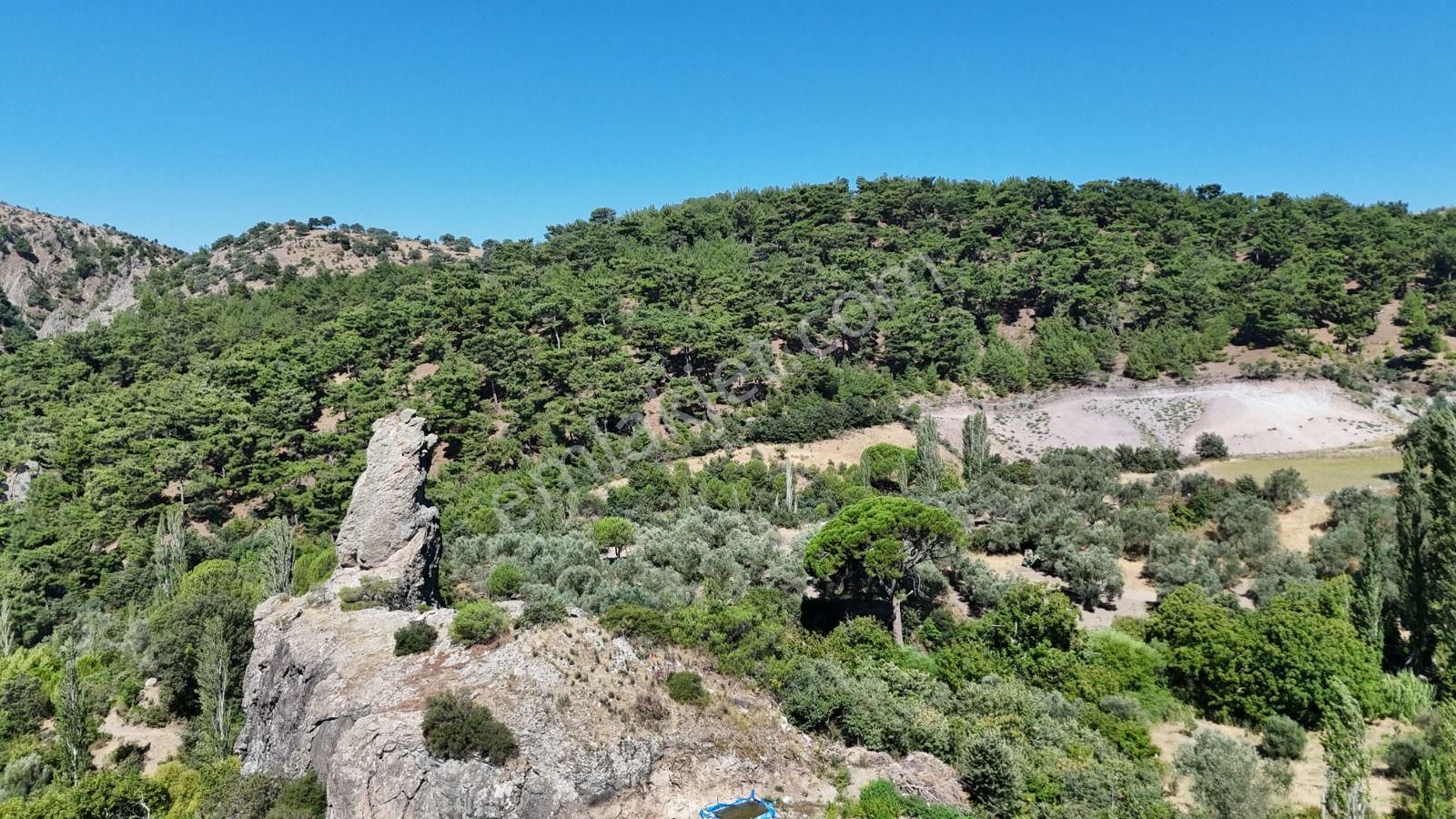 Bergama Alhatlı 1391 M2 Satılık Parsel - Görsel 7