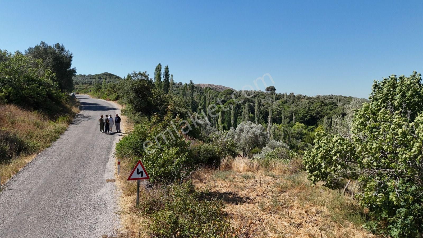 Bergama Alhatlı 1391 M2 Satılık Parsel - Görsel 11