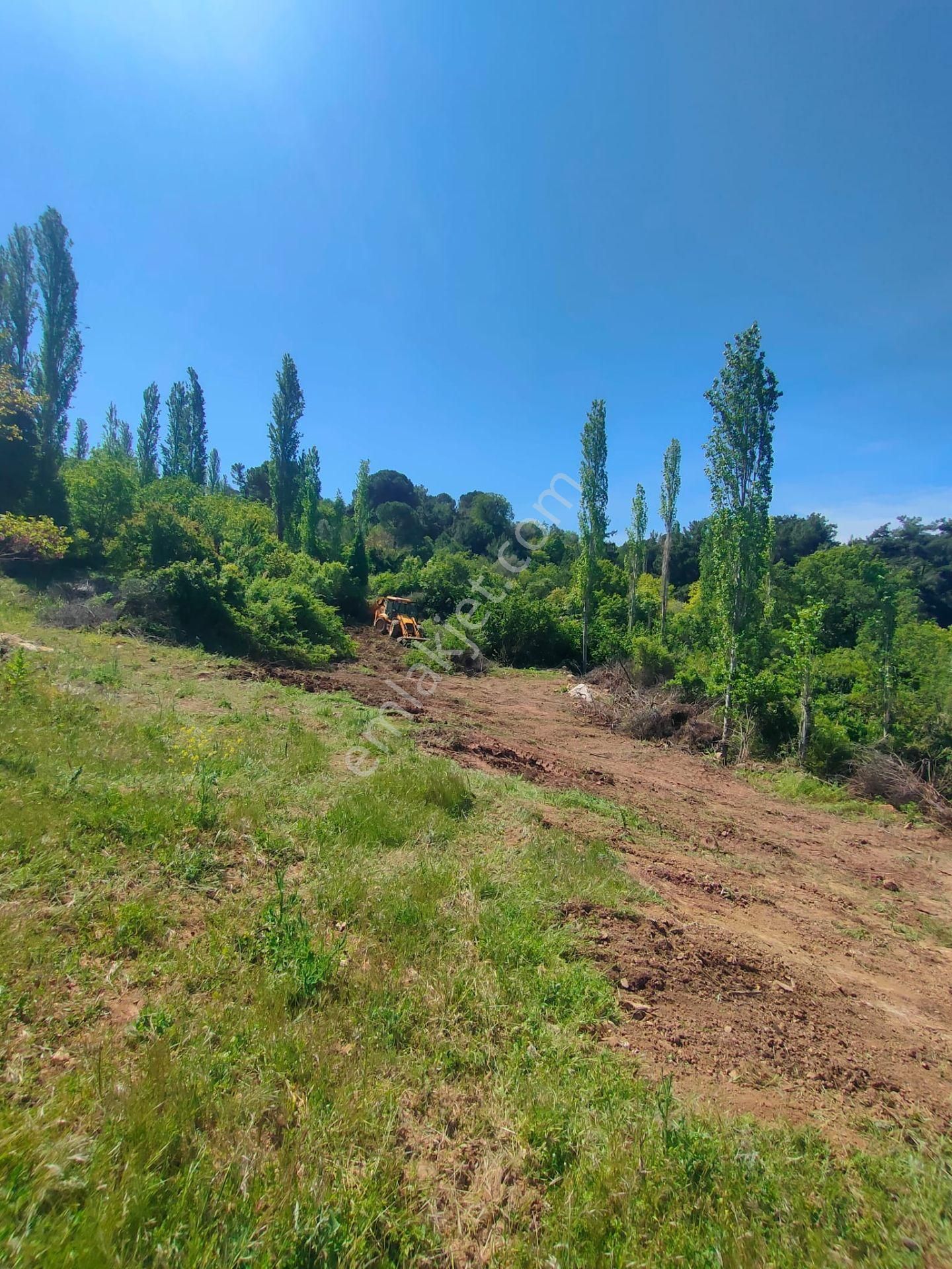 Bergama Alhatlı 1391 M2 Satılık Parsel - Görsel 4