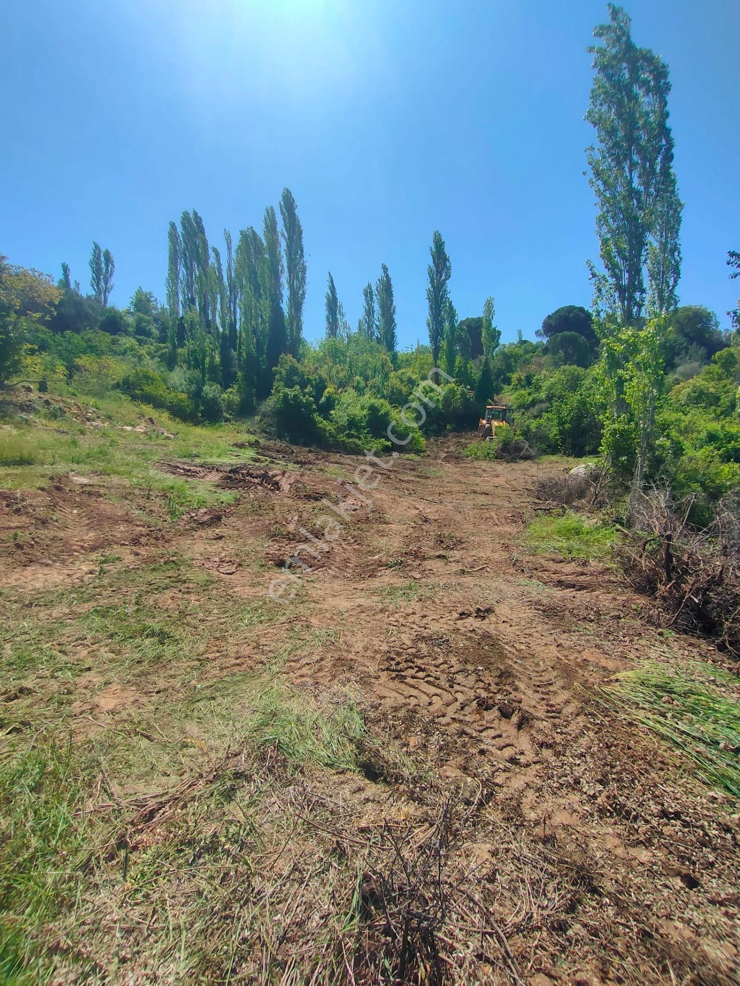 Bergama Alhatlı 1391 M2 Satılık Parsel - Görsel 3