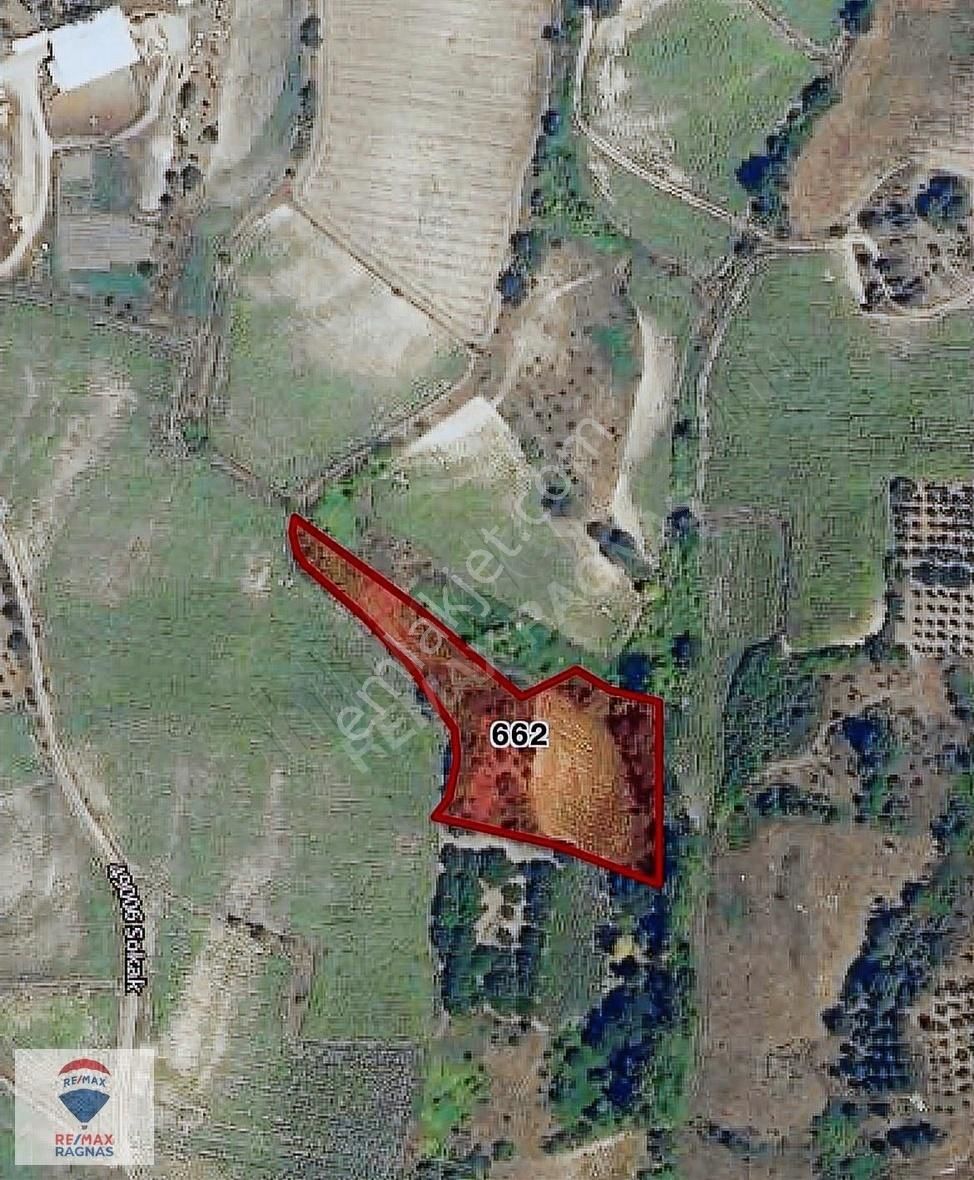 Balıkesir Susurluk Yağcı Köyü 6.000 M² Satılık Tarla