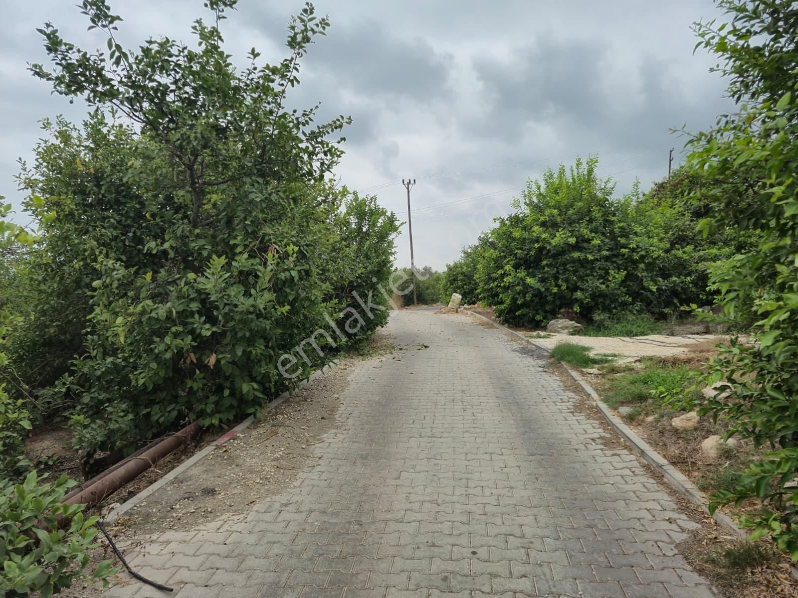 Aslan'dan Elvanlı'da Full Deniz Manzaralı İmarlı 750 M2 Arsa