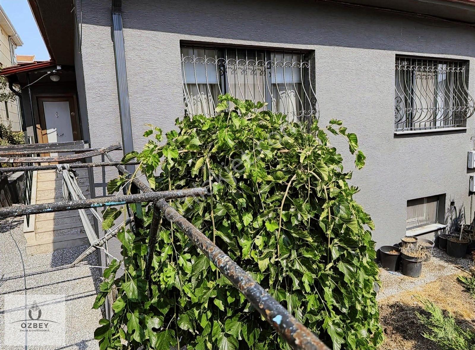 Özbey'den Osmangazi Mh Geniş Bahçeli Bakımlı Müstakil Ev - Görsel 13