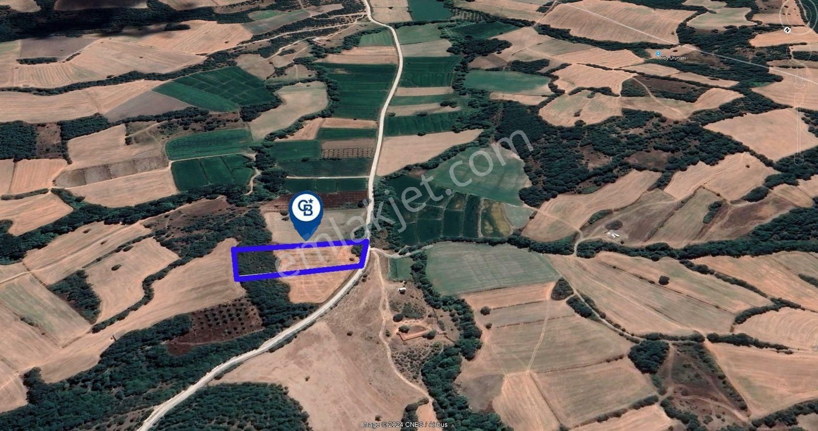 Cb King'den Manyas Süleymanlı Mah'de Satılık 7022 M2 Tarla