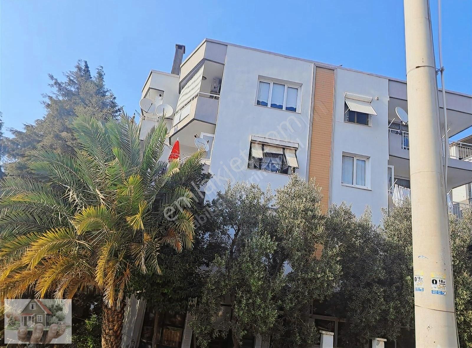Abibodan Urla Zeytinalanı Merkezde