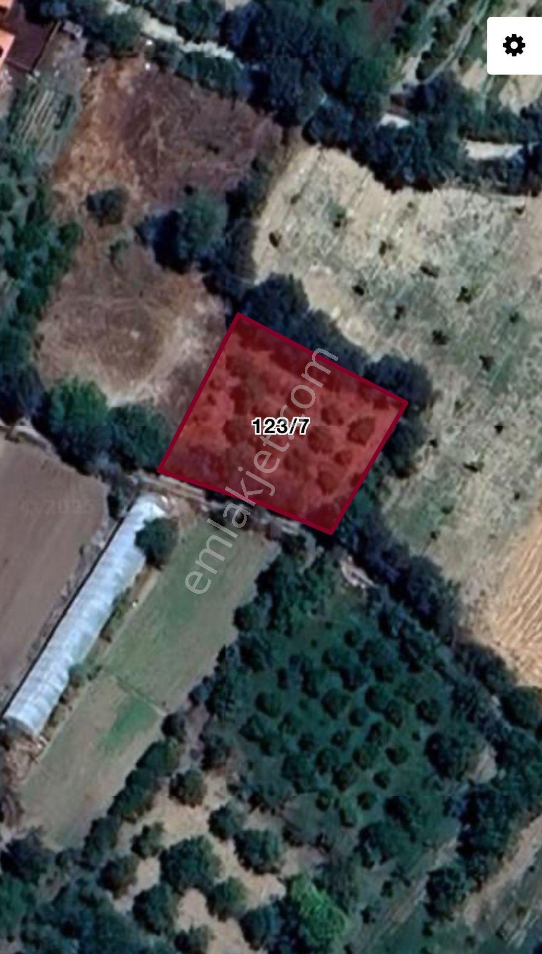 Kayalargroup'tan 808 M2 Kuzköy'de Satılık Bahçe