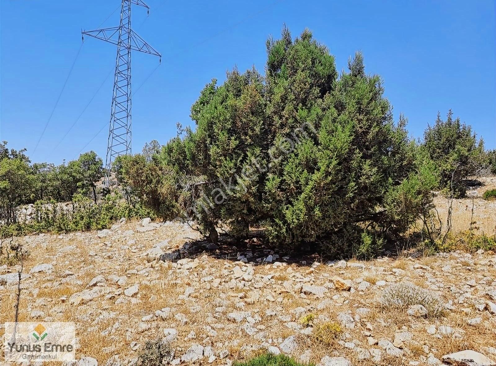 Sefaköy'de Satılık 3.045 M² Müstakil Arazi - Görsel 5