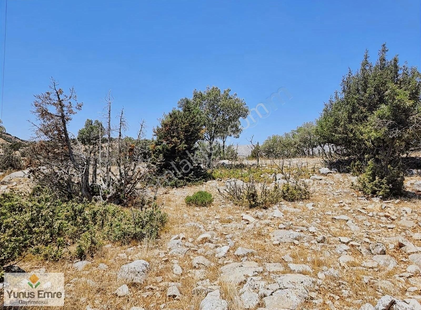 Sefaköy'de Satılık 3.045 M² Müstakil Arazi - Görsel 8