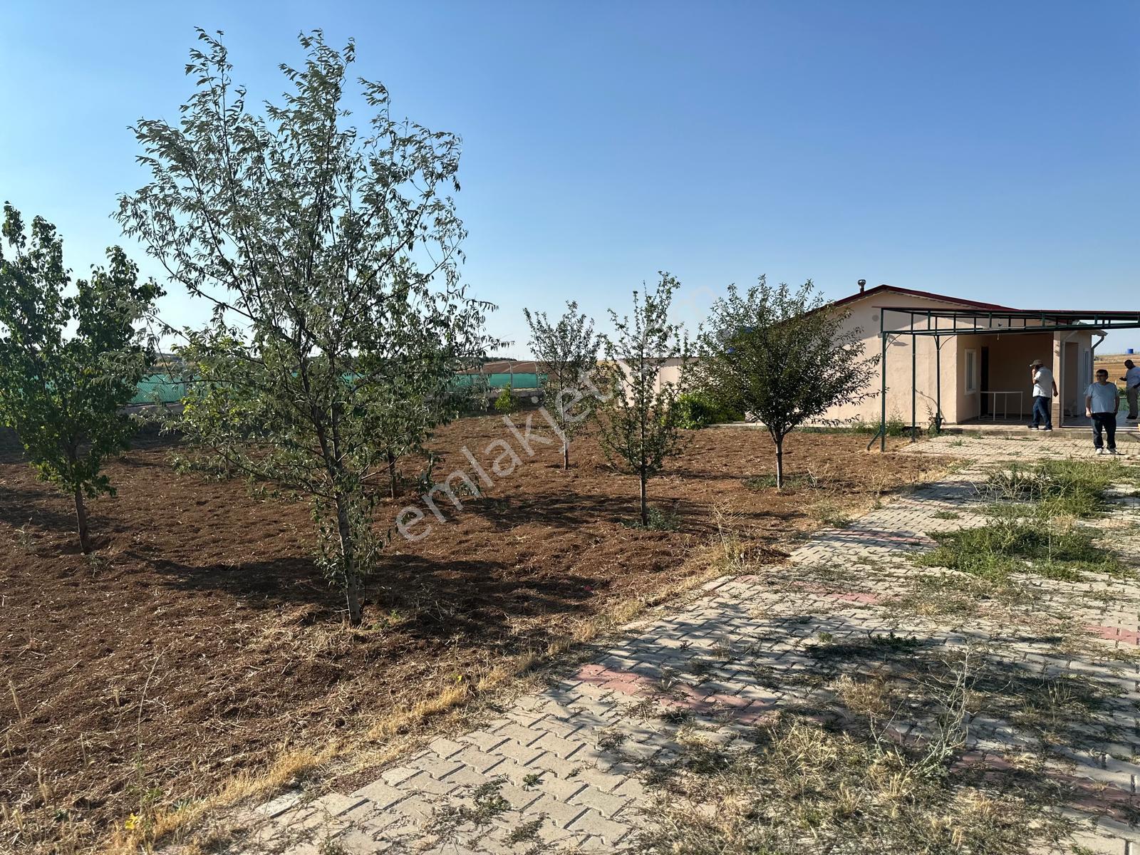Gölbaşı Dikilitaş'ta 2+1 Müstakil Evli 1000 M² Hobi Bahçesi - Görsel 4
