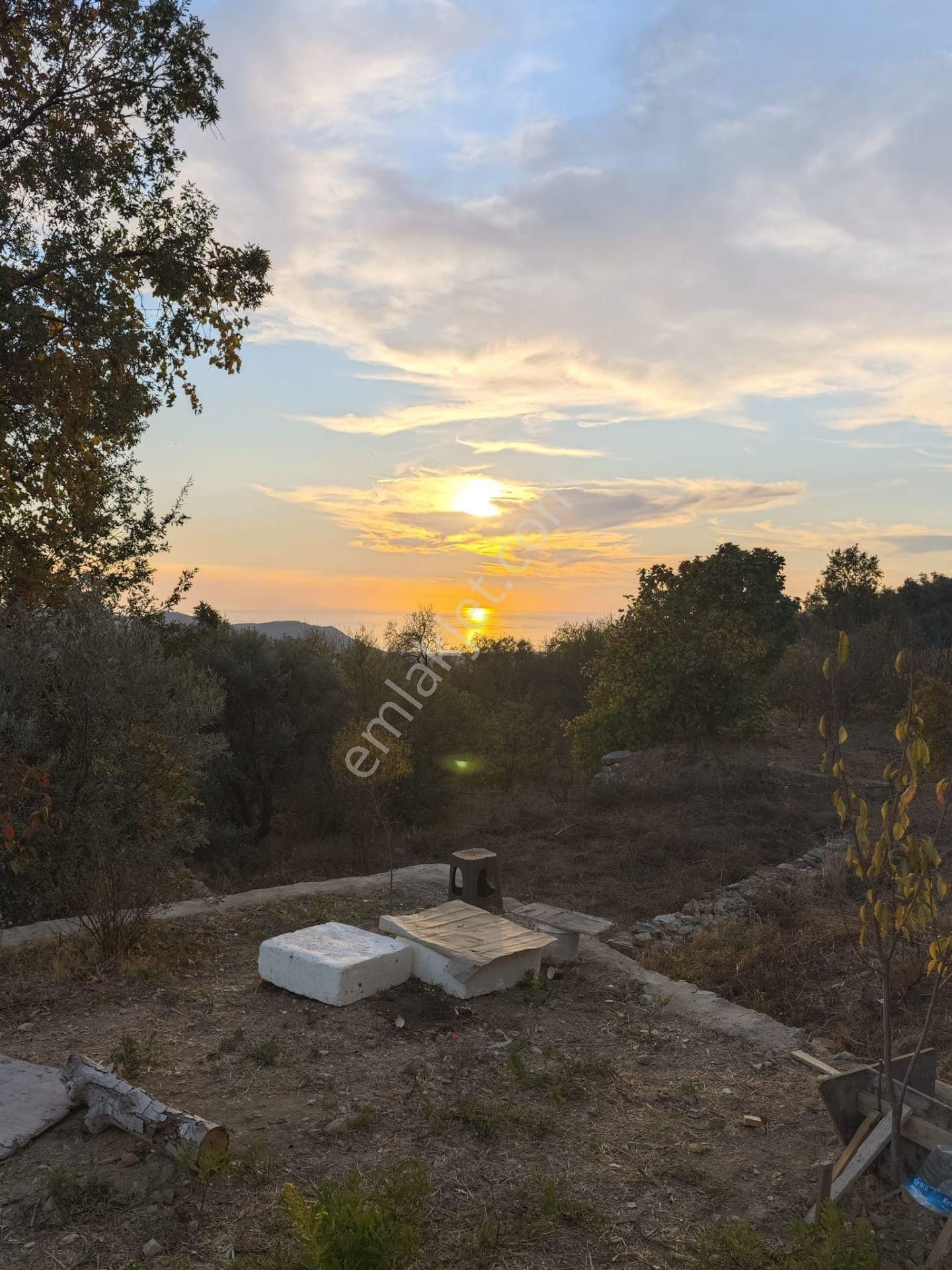 Alanya Mahmutseydi'de Satılık Müstakil Ev Ve Hobi Bahçesi - Görsel 34