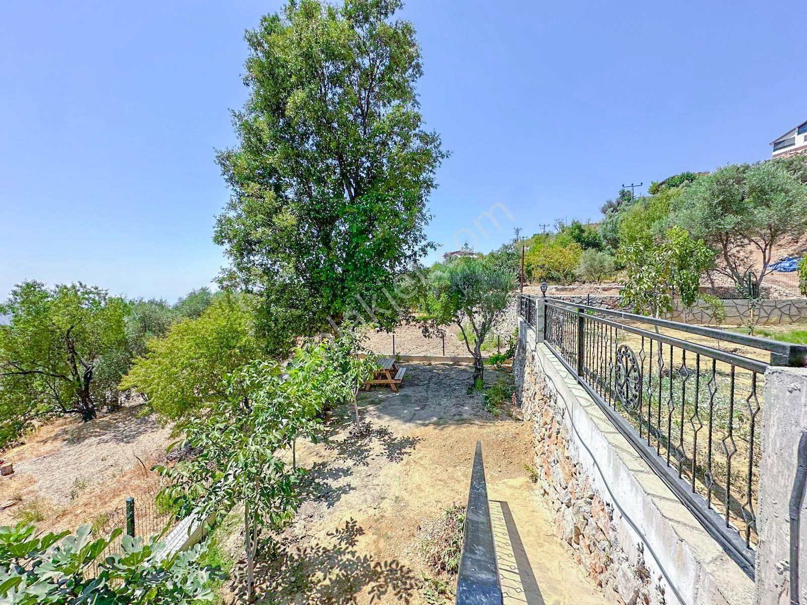 Alanya Mahmutseydi'de Satılık Müstakil Ev Ve Hobi Bahçesi - Görsel 4