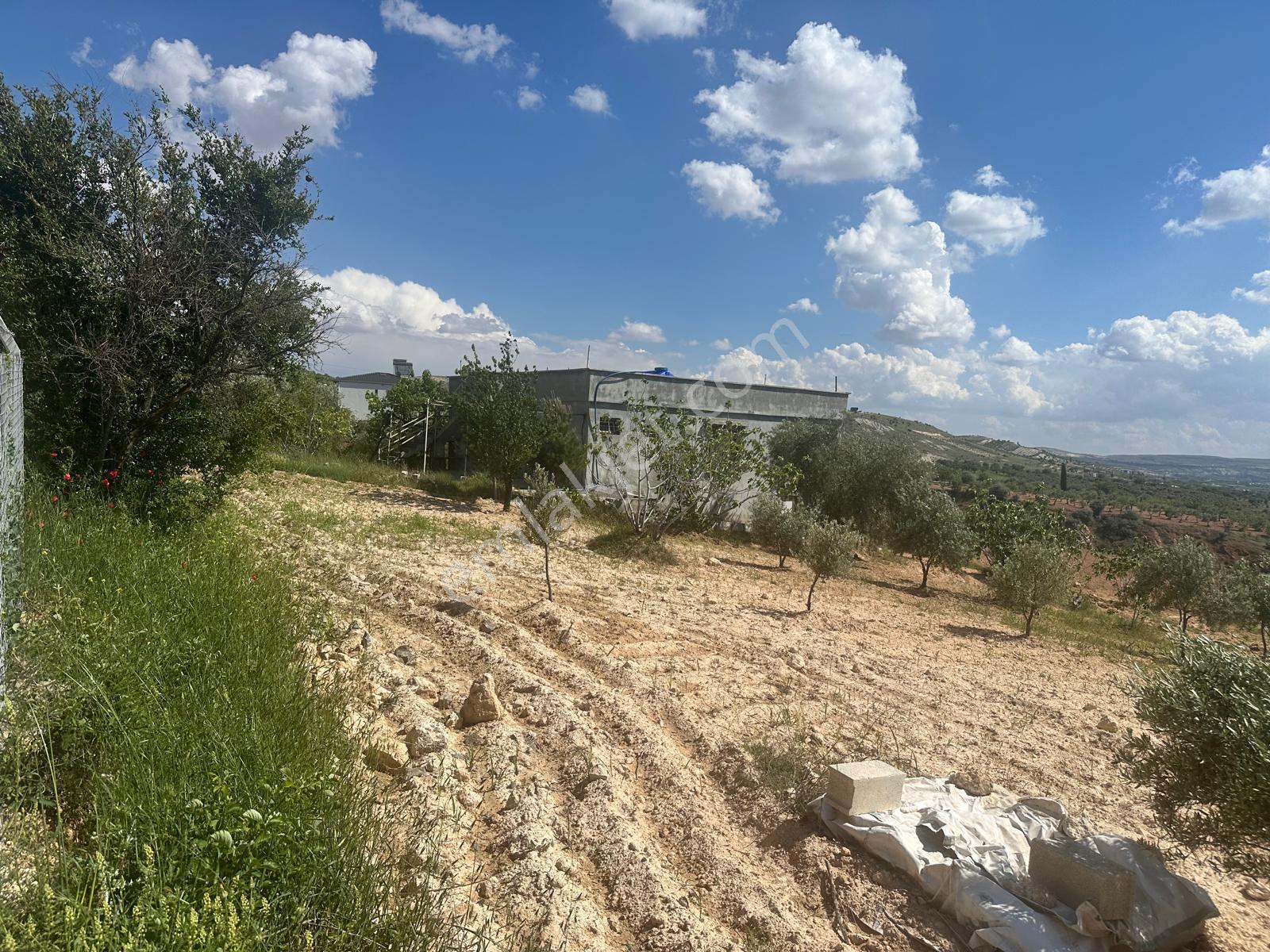 Mesken Emlak Budakta Ful Gölet Manzralı 214 Metre Rsmi Yol Cephe - Görsel 6