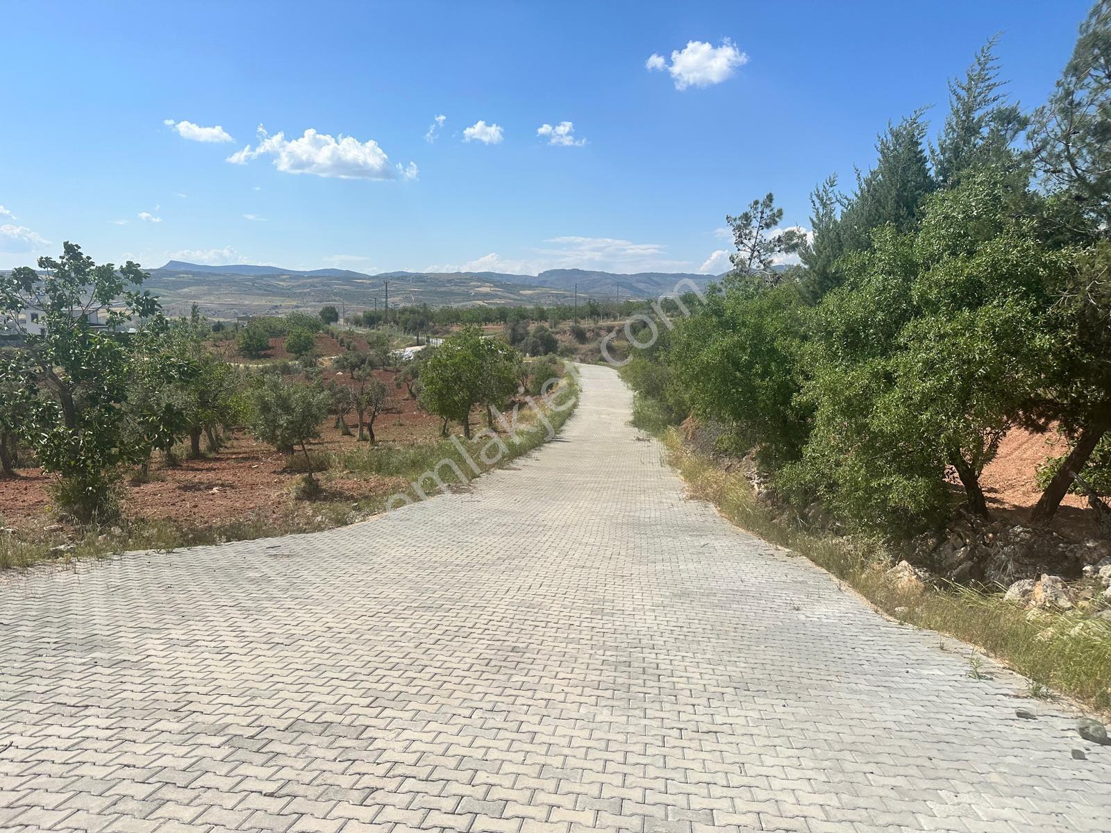 Mesken Emlak Budakta Ful Gölet Manzralı 214 Metre Rsmi Yol Cephe - Görsel 10