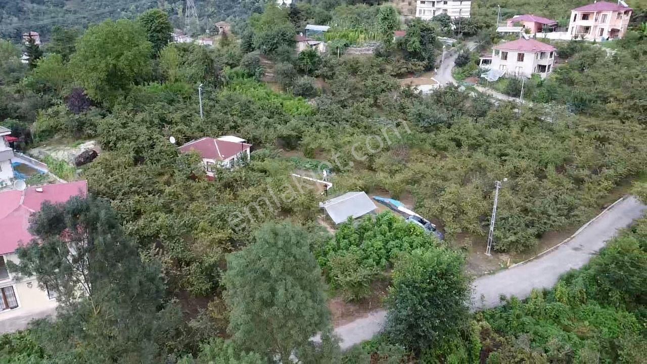 Trabzon Ortahisar İncesu'da Şehir Merkezine Yakın Satılık Arazi - Görsel 6