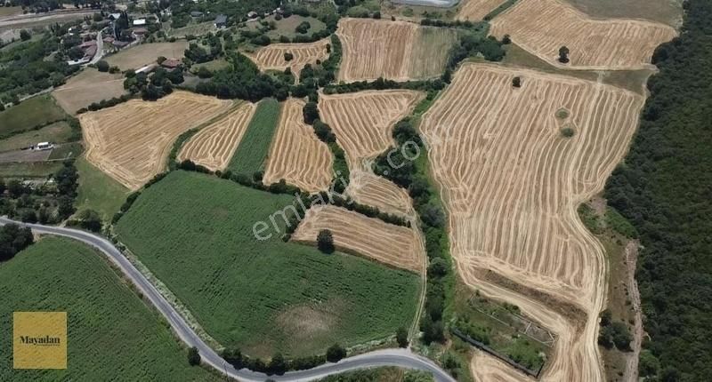 Mayadan Gyo'den Gönen Çınarpınar'da Satılık 64.528 M2 Tarmayadla