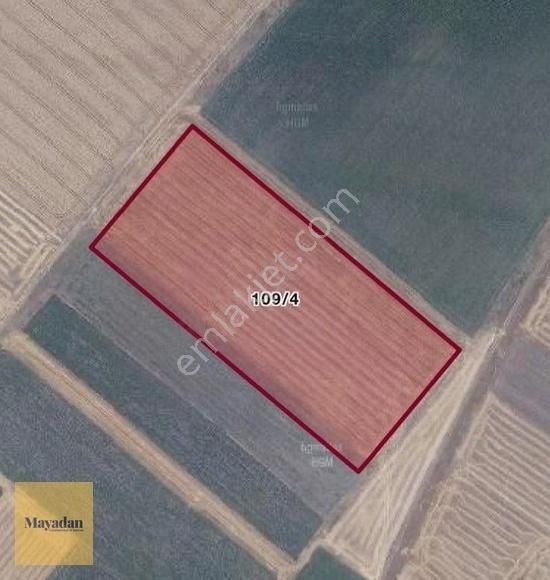 Maya Gyo Dan Küçüksoğuklar Köyünde 21.379.70 M2 Satılık Tarla