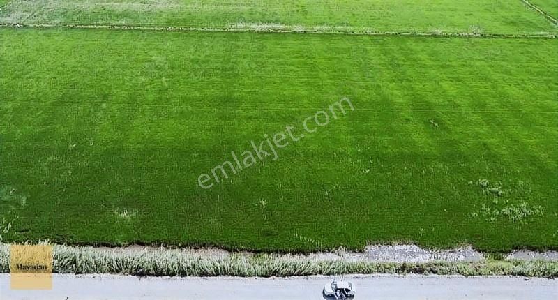 Mayadan Gyo Manyas Kocagöl'de Satılık Tarla