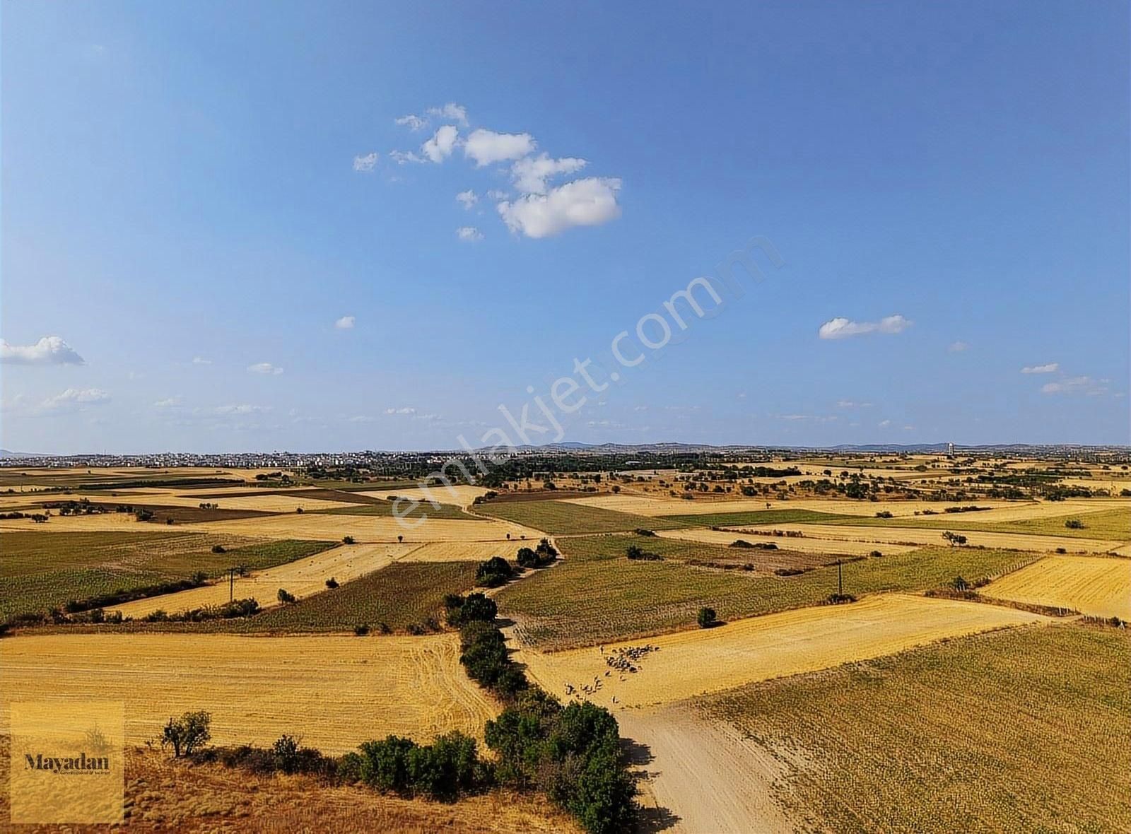 Mayadan Karacaibrahim Tapulu 8.987 M2 Satılık Tarla