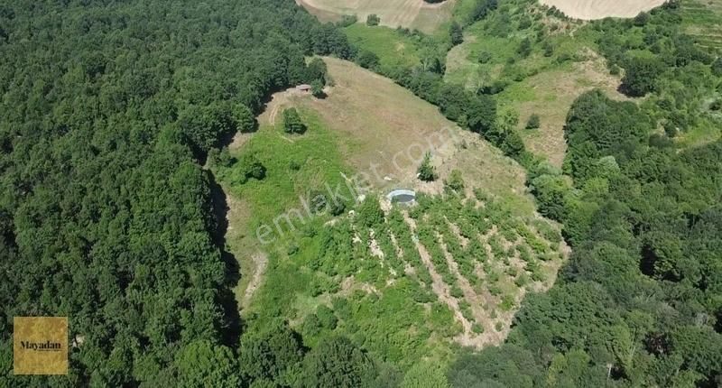 Mayadan Gyo'den Gönen Sebepli Köyünde 23100 M2 Satılık Tarla