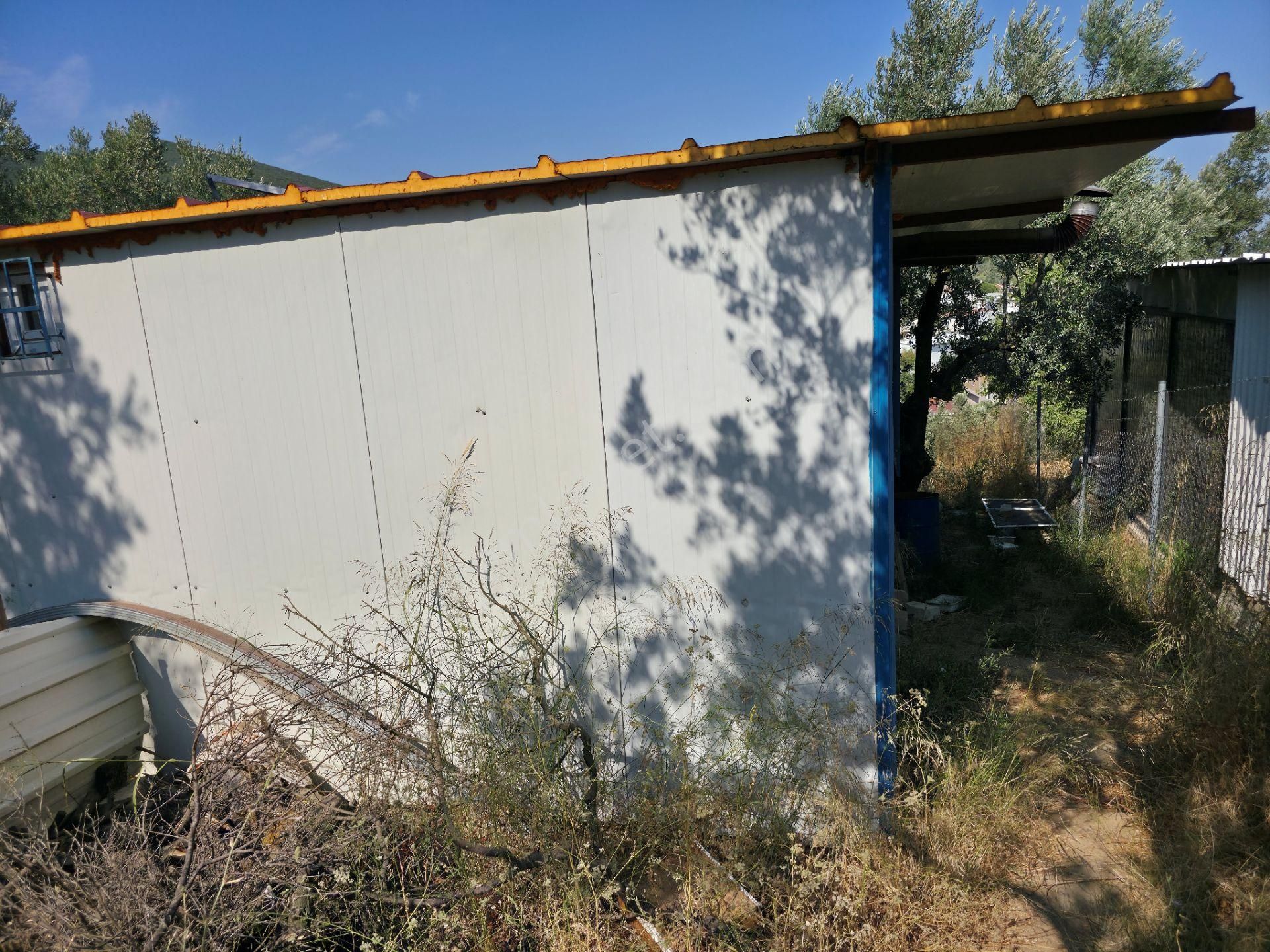 C21 Cius; Gedelek 396m² Göl Doğa Manzaralı Yola Cephe Hobi Bahç. - Görsel 6
