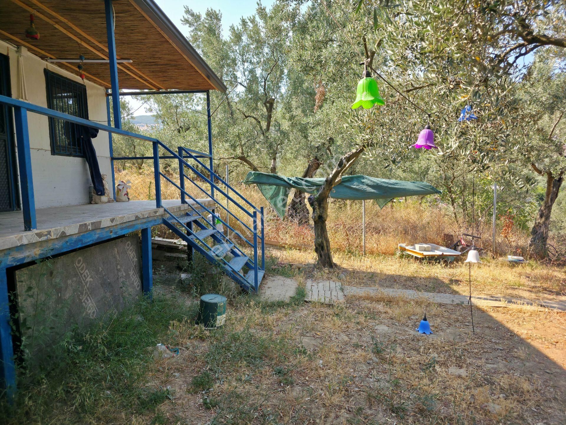 C21 Cius; Gedelek 396m² Göl Doğa Manzaralı Yola Cephe Hobi Bahç. - Görsel 7