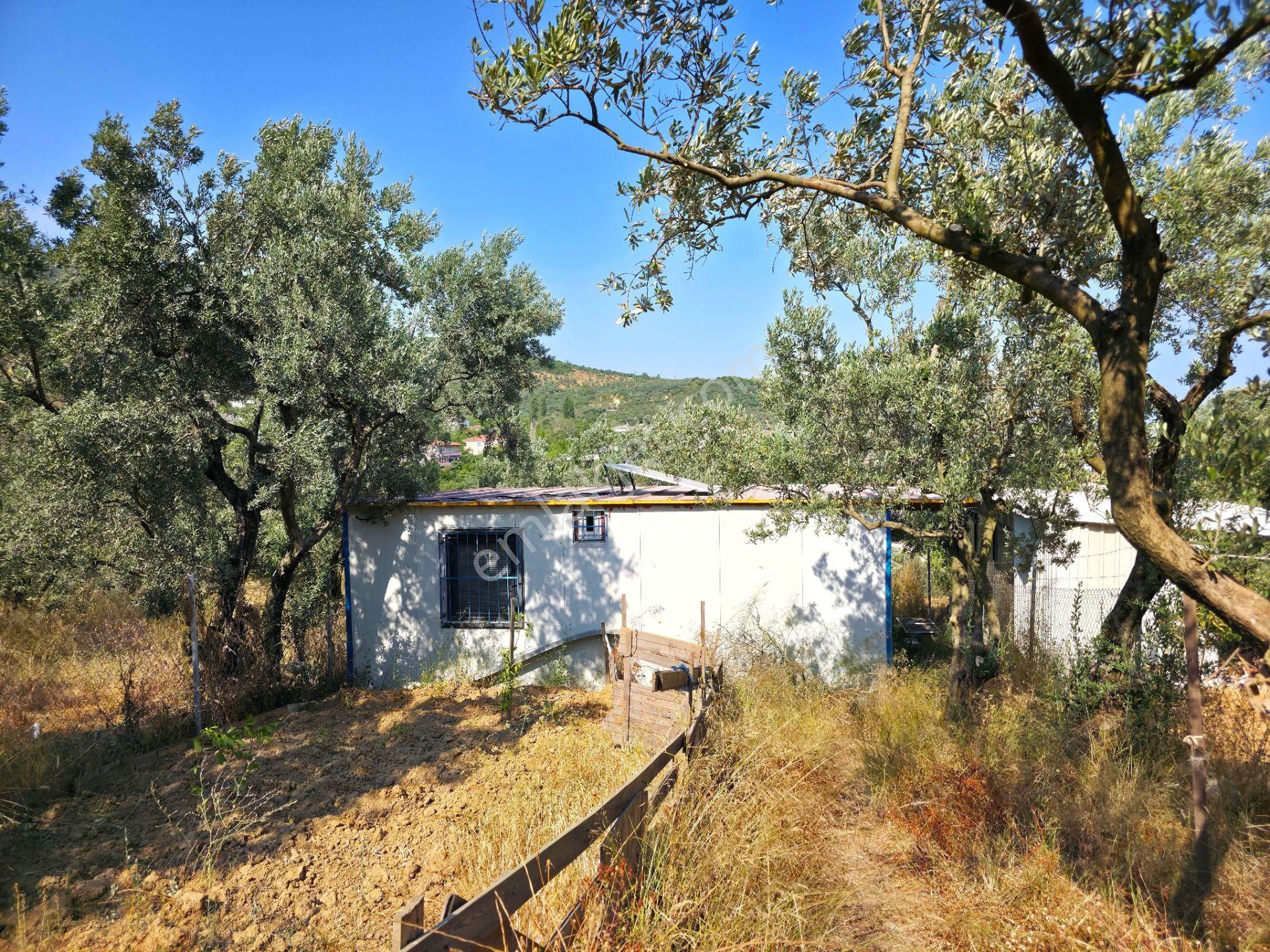 C21 Cius; Gedelek 396m² Göl Doğa Manzaralı Yola Cephe Hobi Bahç. - Görsel 9