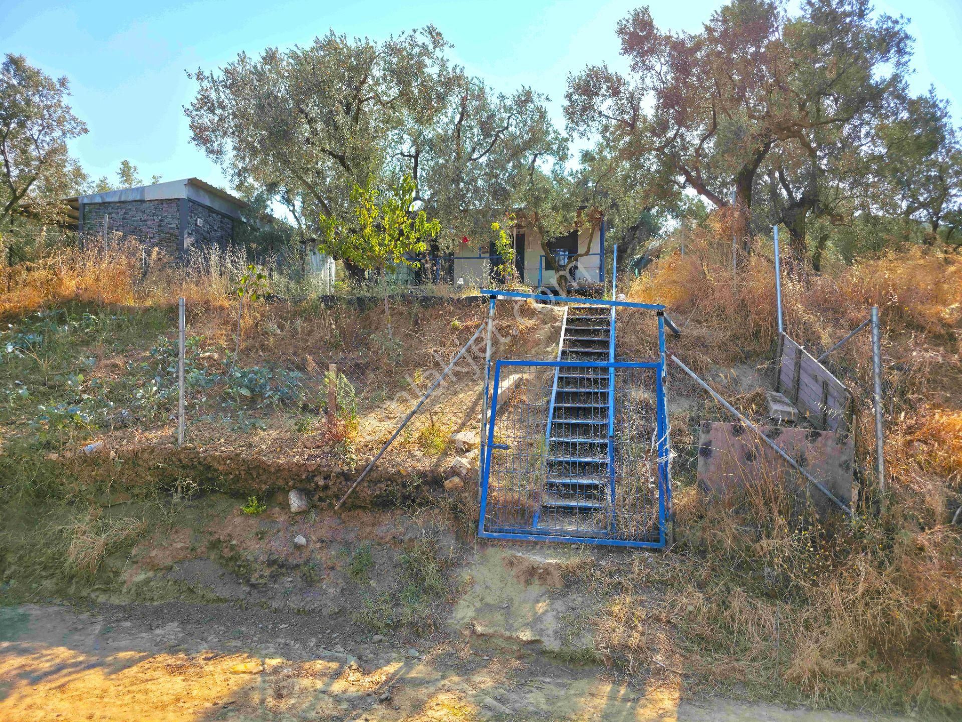 C21 Cius; Gedelek 396m² Göl Doğa Manzaralı Yola Cephe Hobi Bahç. - Görsel 12