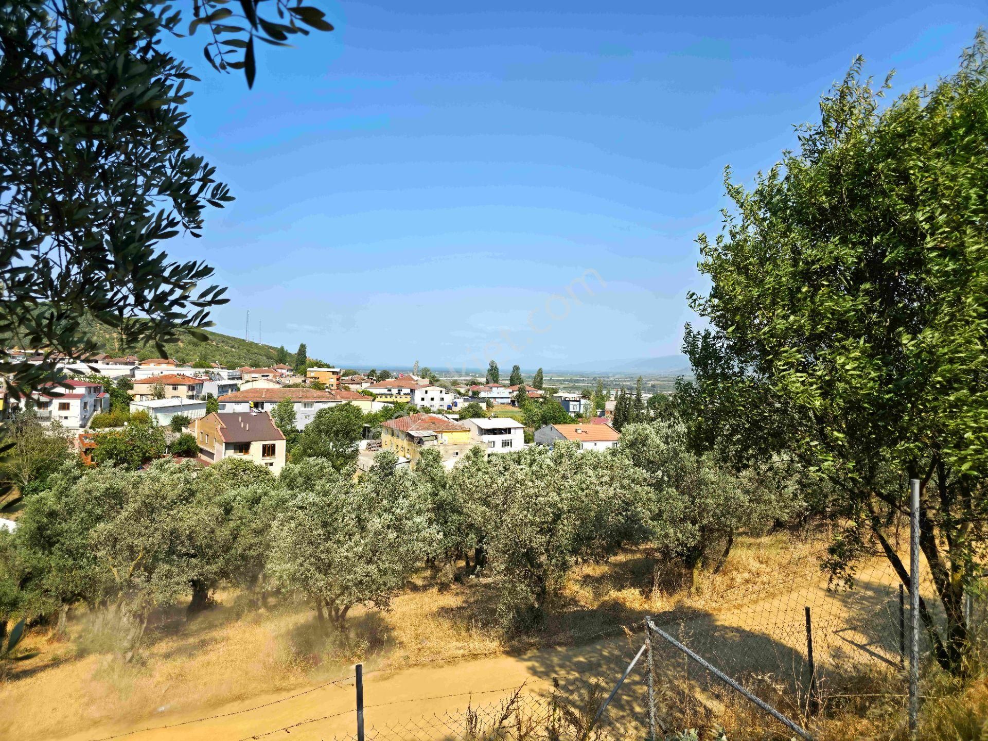 C21 Cius; Gedelek 396m² Göl Doğa Manzaralı Yola Cephe Hobi Bahç. - Görsel 15