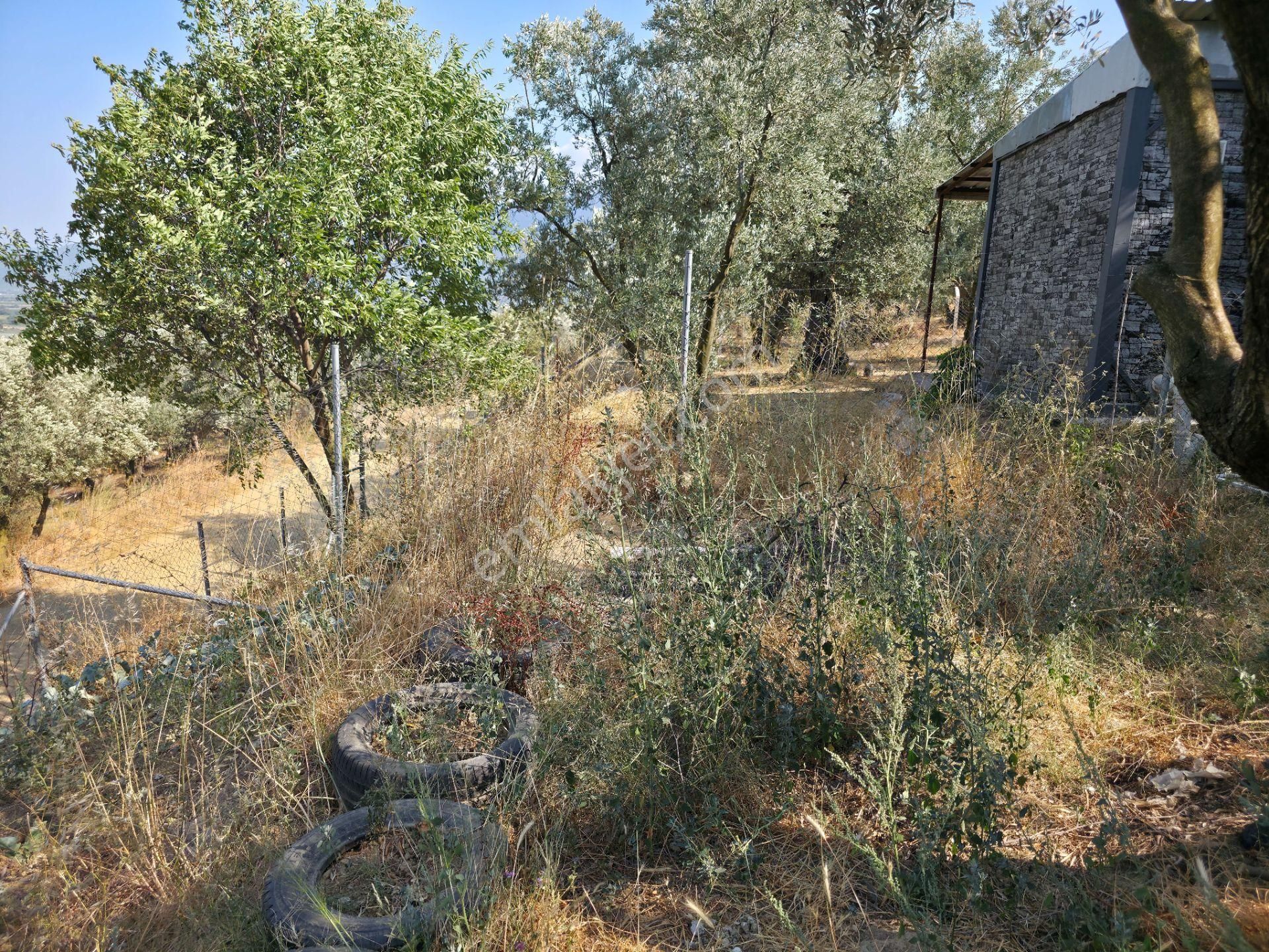 C21 Cius; Gedelek 396m² Göl Doğa Manzaralı Yola Cephe Hobi Bahç. - Görsel 26