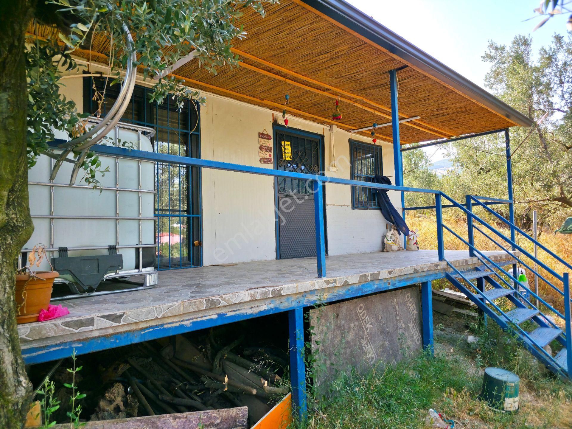 C21 Cius; Gedelek 396m² Göl Doğa Manzaralı Yola Cephe Hobi Bahç. - Görsel 2