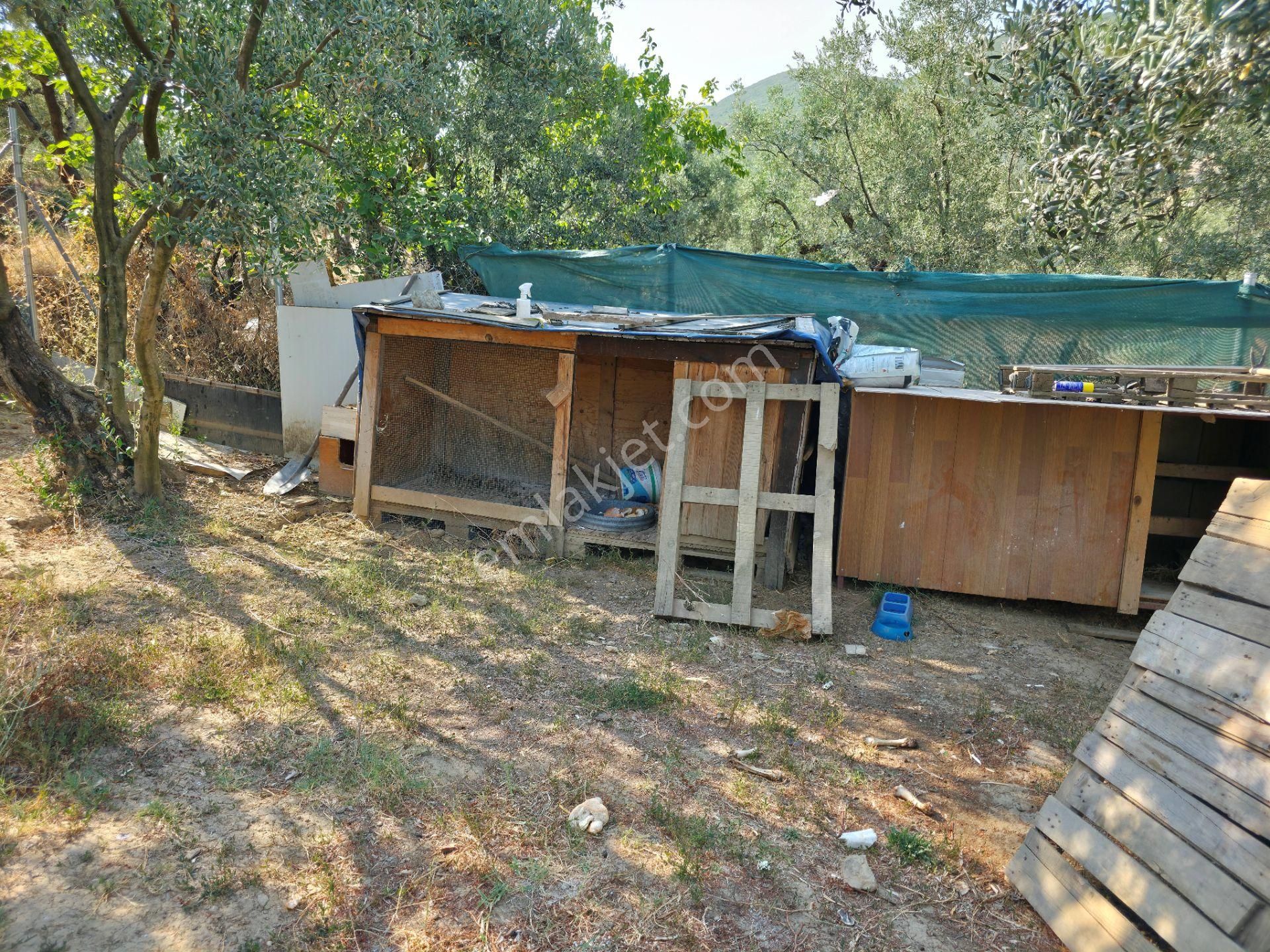 C21 Cius; Gedelek 396m² Göl Doğa Manzaralı Yola Cephe Hobi Bahç. - Görsel 20