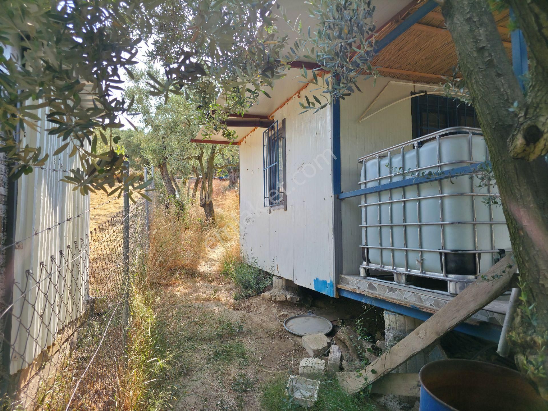 C21 Cius; Gedelek 396m² Göl Doğa Manzaralı Yola Cephe Hobi Bahç. - Görsel 4
