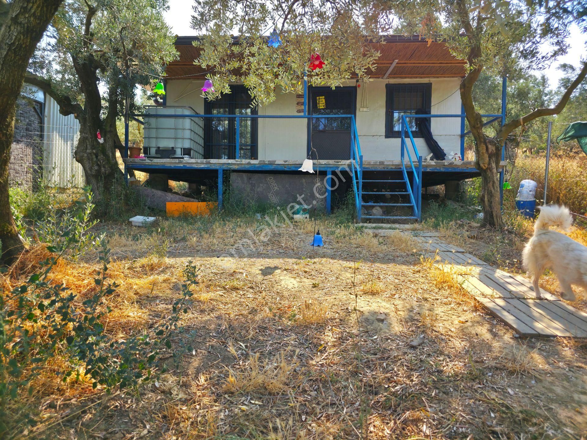 C21 Cius; Gedelek 396m² Göl Doğa Manzaralı Yola Cephe Hobi Bahç.