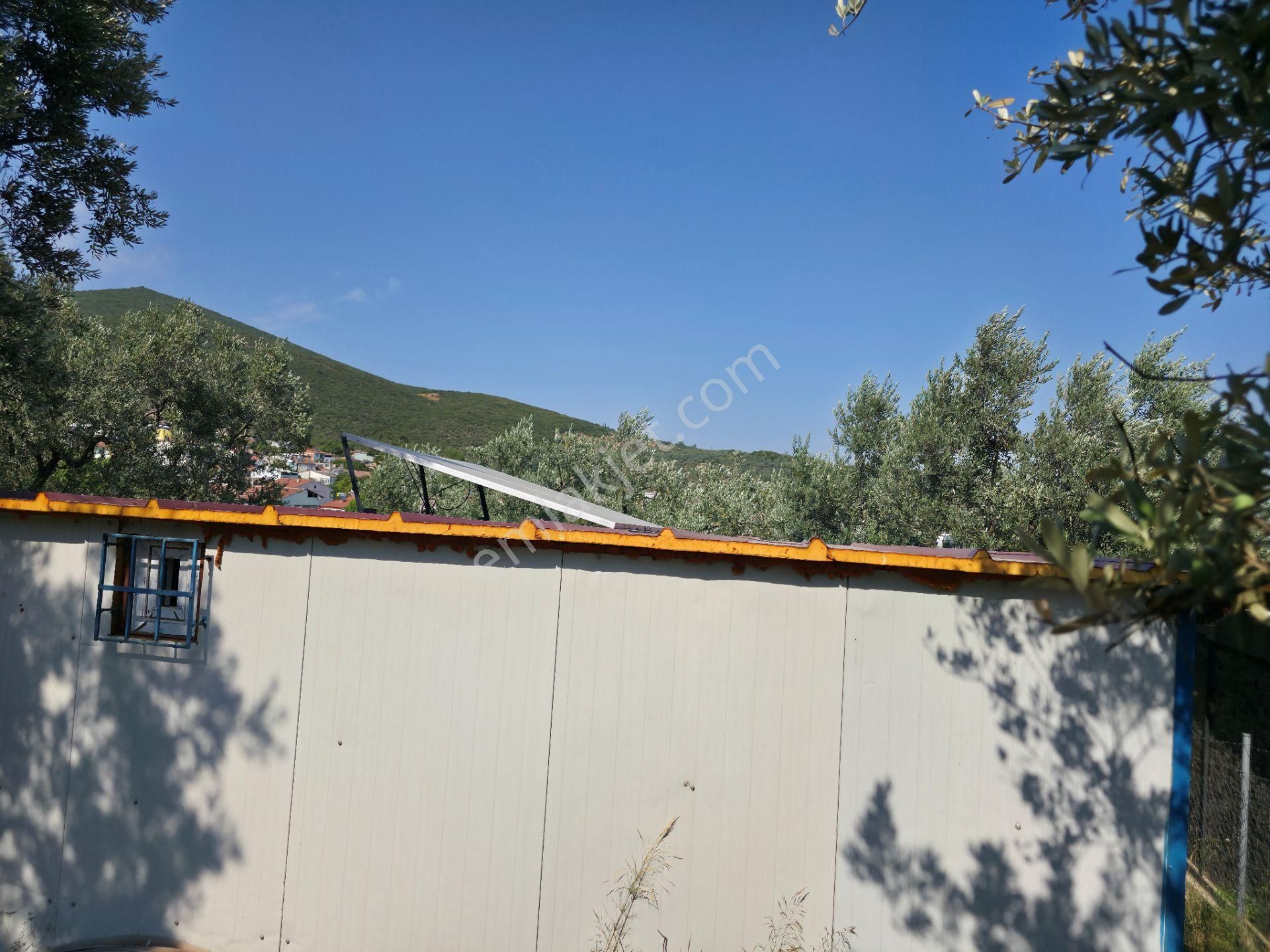 C21 Cius; Gedelek 396m² Göl Doğa Manzaralı Yola Cephe Hobi Bahç. - Görsel 8