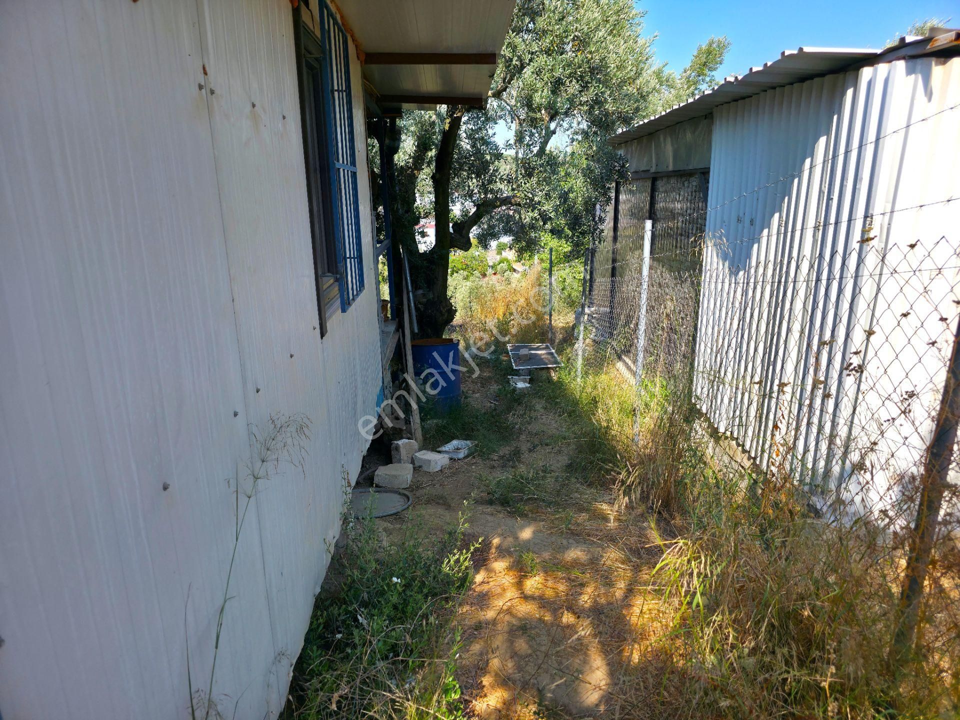 C21 Cius; Gedelek 396m² Göl Doğa Manzaralı Yola Cephe Hobi Bahç. - Görsel 3
