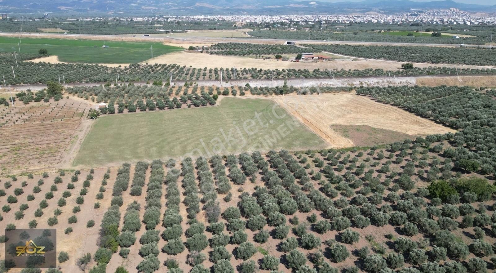 Dayıoğlu Mh. Merkeze Yakın 3.670m2 Satılık Zeytinlik - Görsel 9