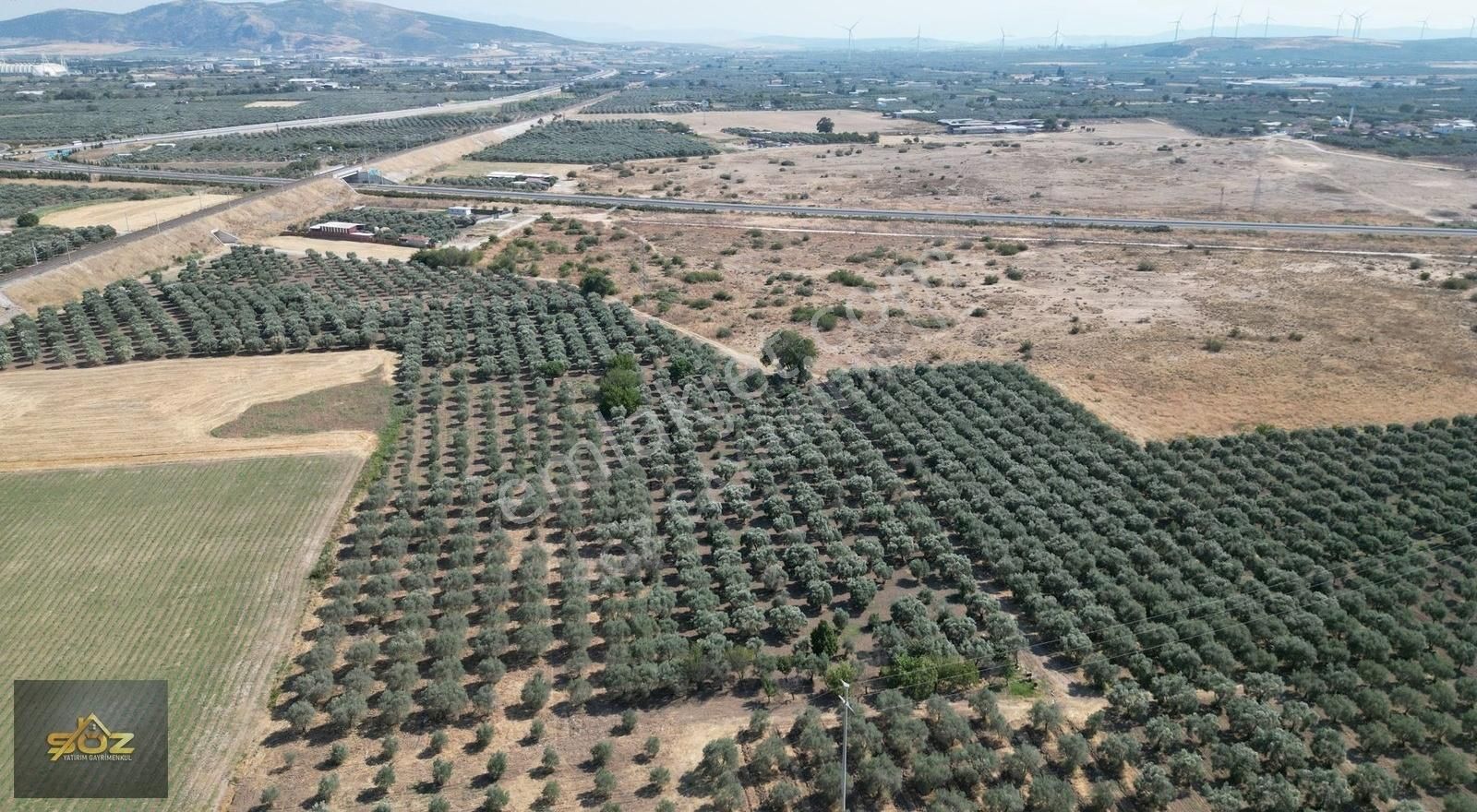 Dayıoğlu Mh. Merkeze Yakın 3.670m2 Satılık Zeytinlik - Görsel 7