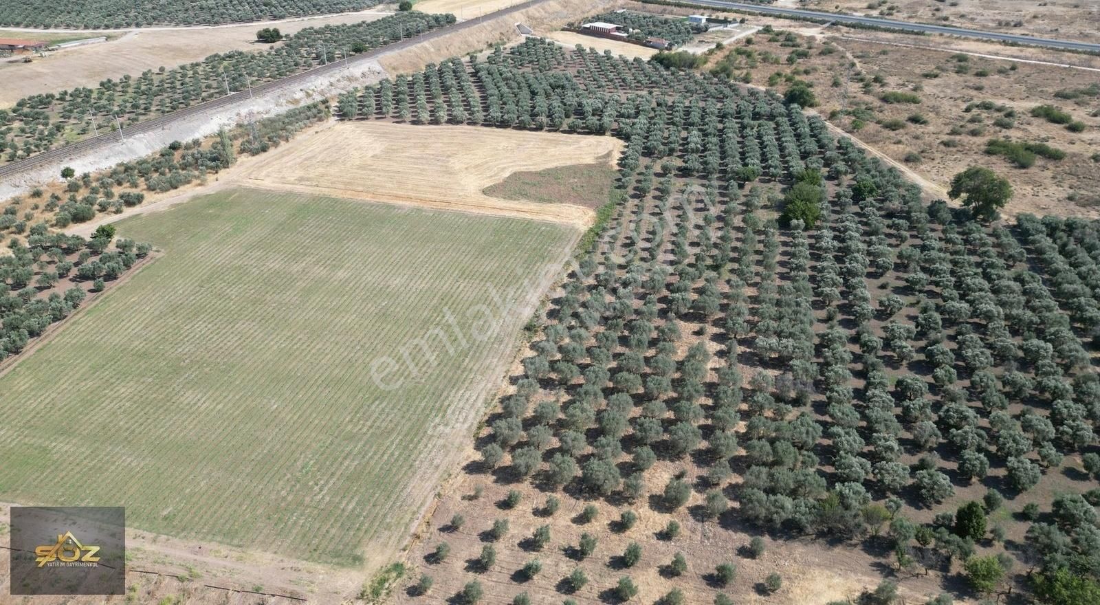 Dayıoğlu Mh. Merkeze Yakın 3.670m2 Satılık Zeytinlik - Görsel 11