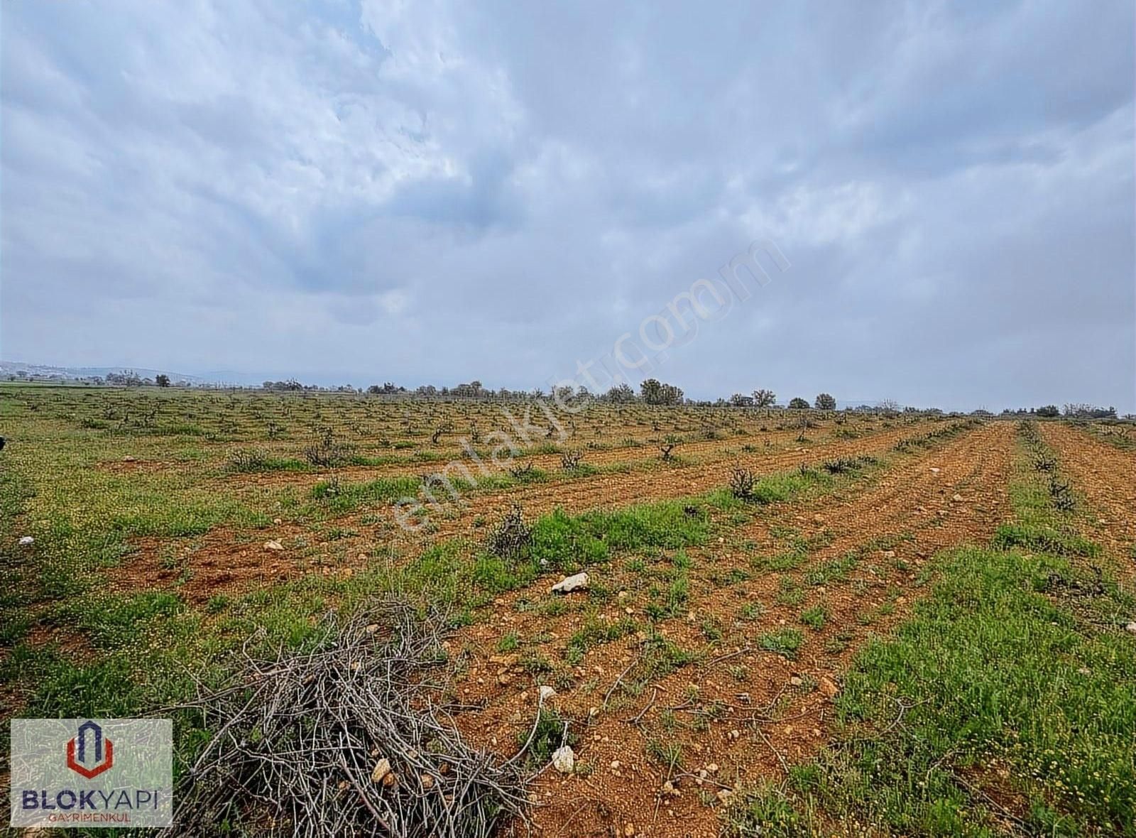 Blokyapı Gayrimenkul'den Bekilli'de 8000 M2 Satılık Tarla(üzüm) - Görsel 2