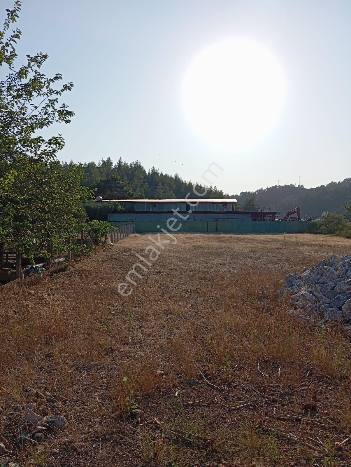 Degirmenyaninda 700 M2 Müstakil Tapulu Tarla - Görsel 2