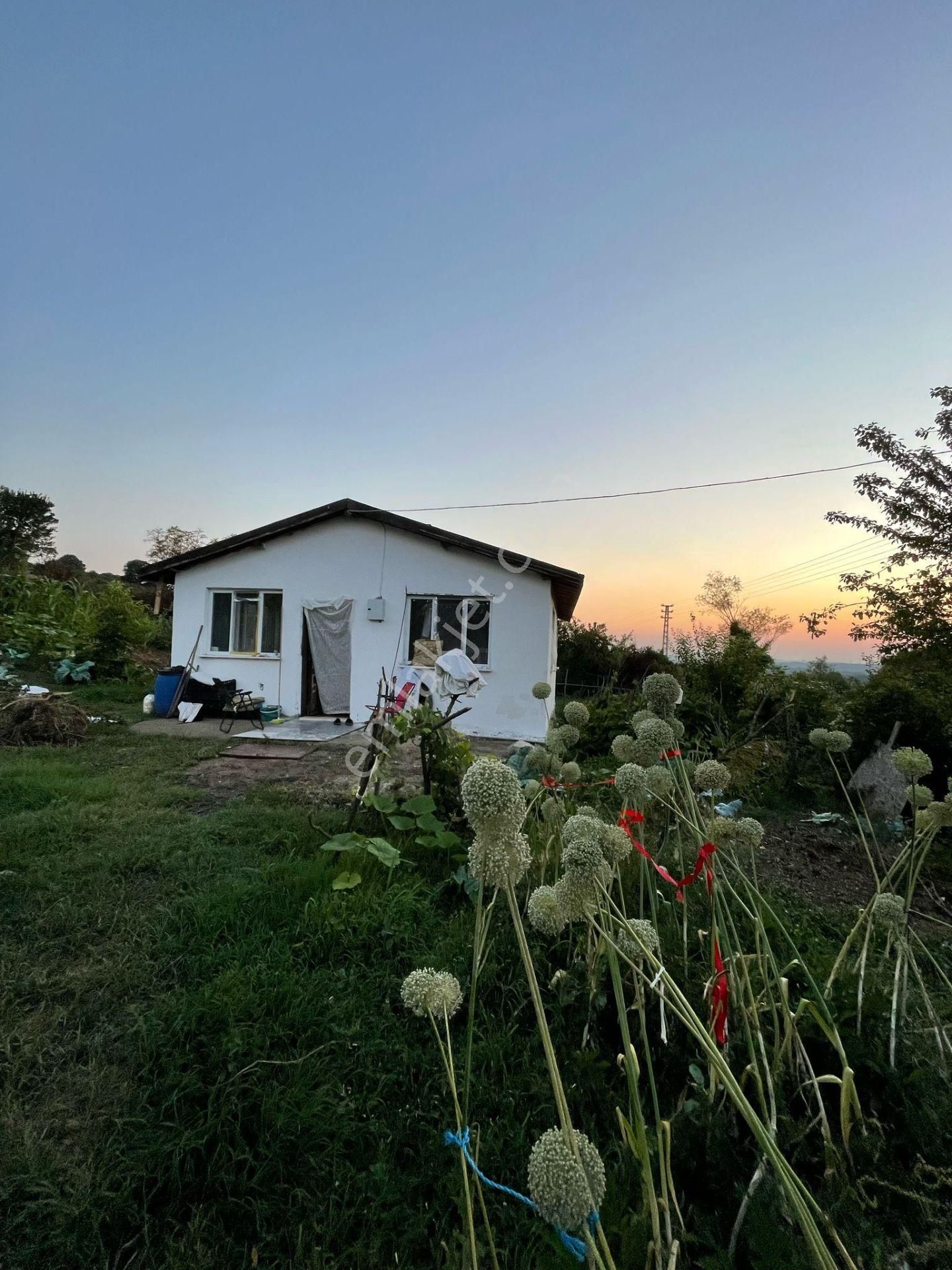Sakarya Hendekte İçinde Yapı Olan 1.334 M2 Satılık Yer