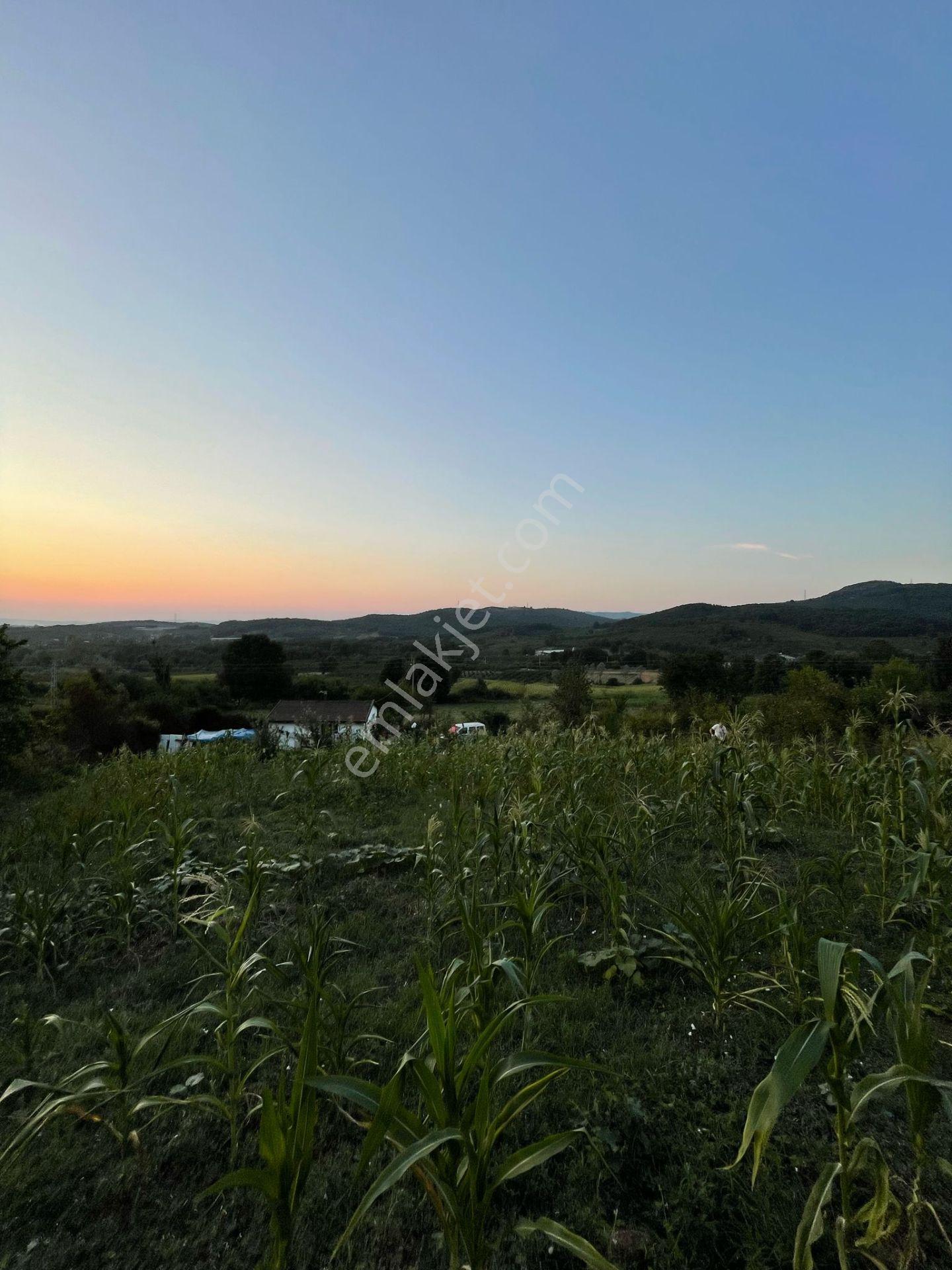 Sakarya Hendekte İçinde Yapı Olan 1.334 M2 Satılık Yer - Görsel 3