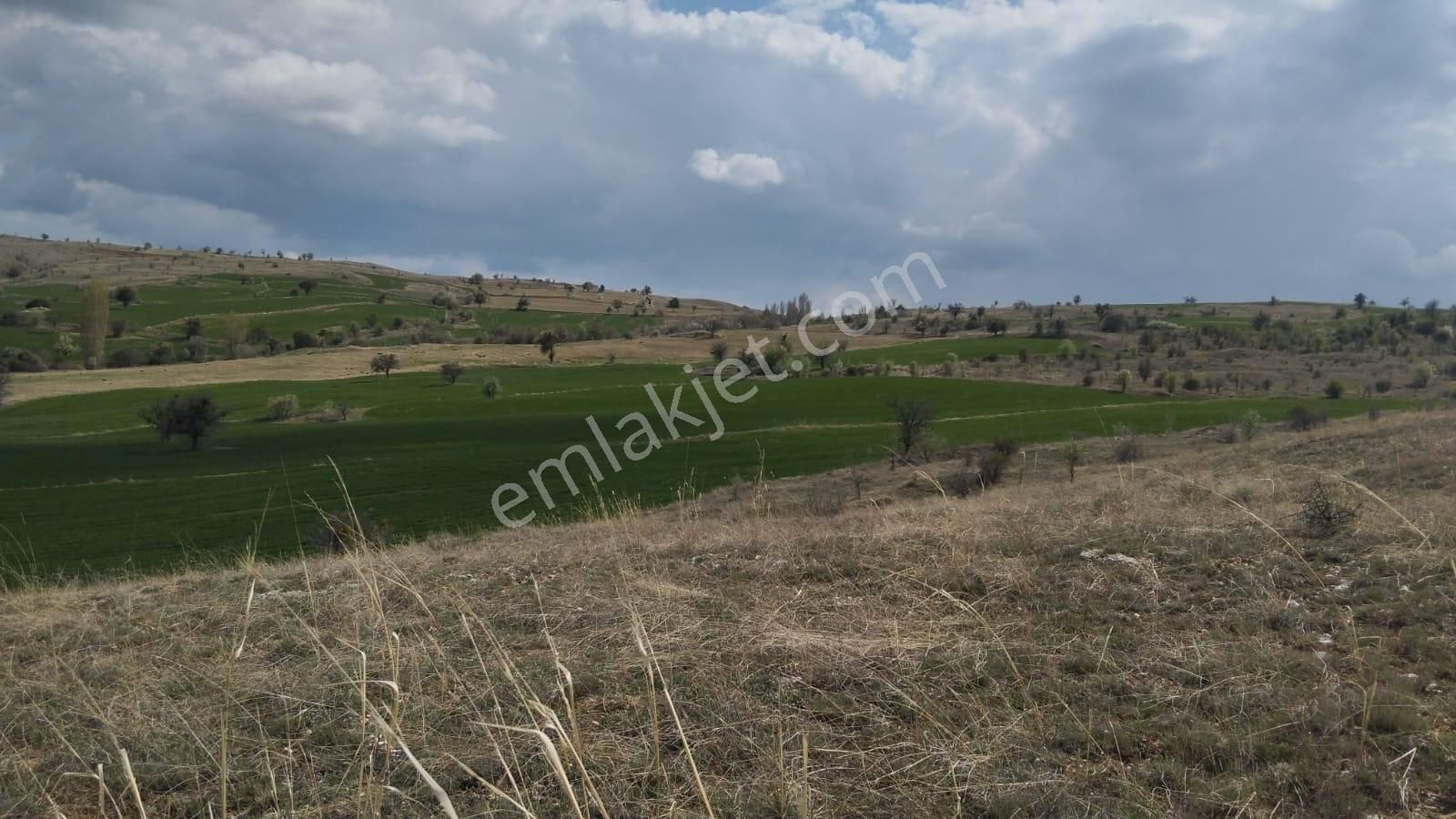 Sahibinden Satılık Çankırı Yapraklı İkizören Köyünde Köye Yakın Ekilir Arazi