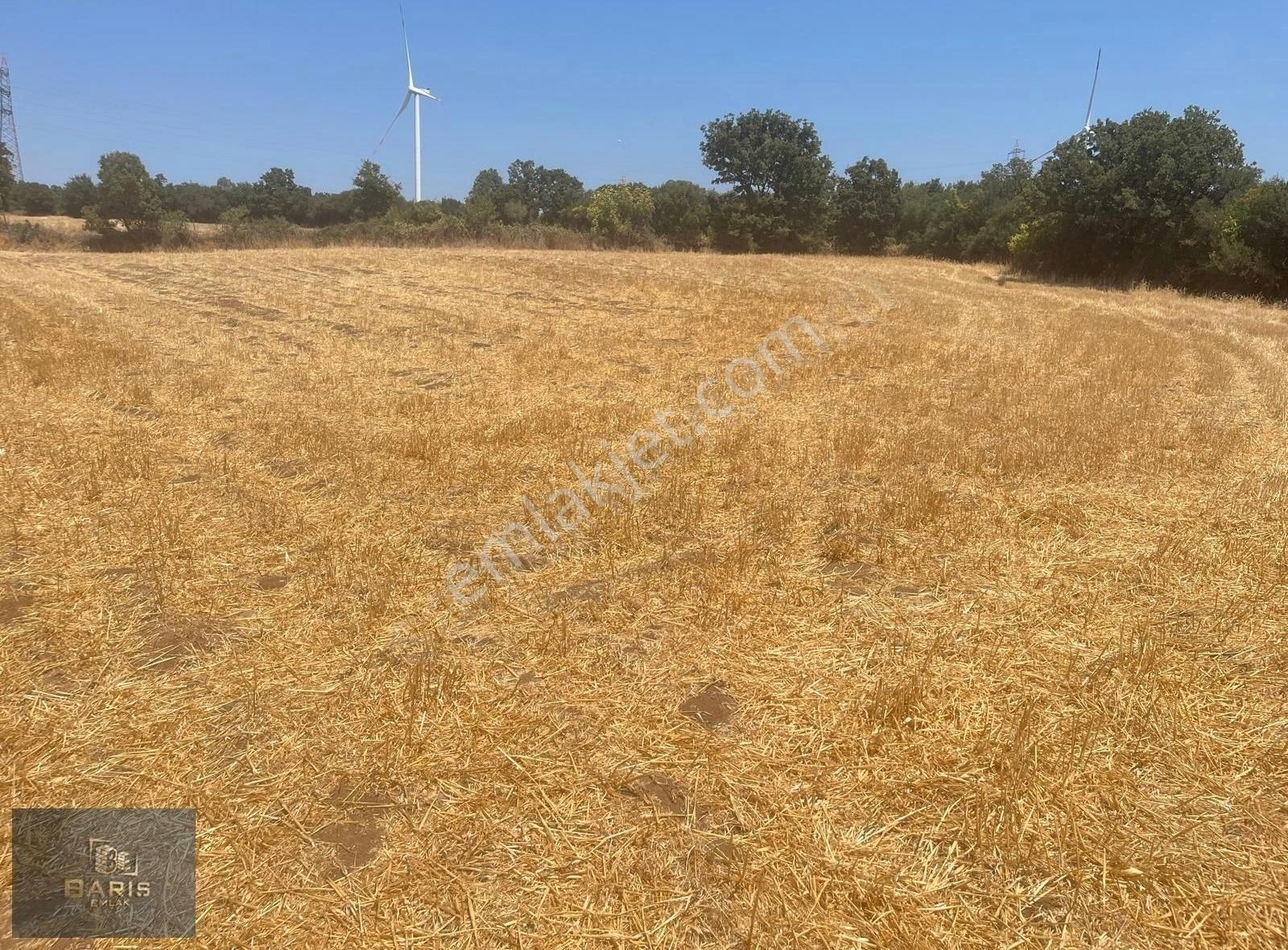 Çanakkale Bayramiç Bıyıklı Köyünde Satılık Tarla - Görsel 4