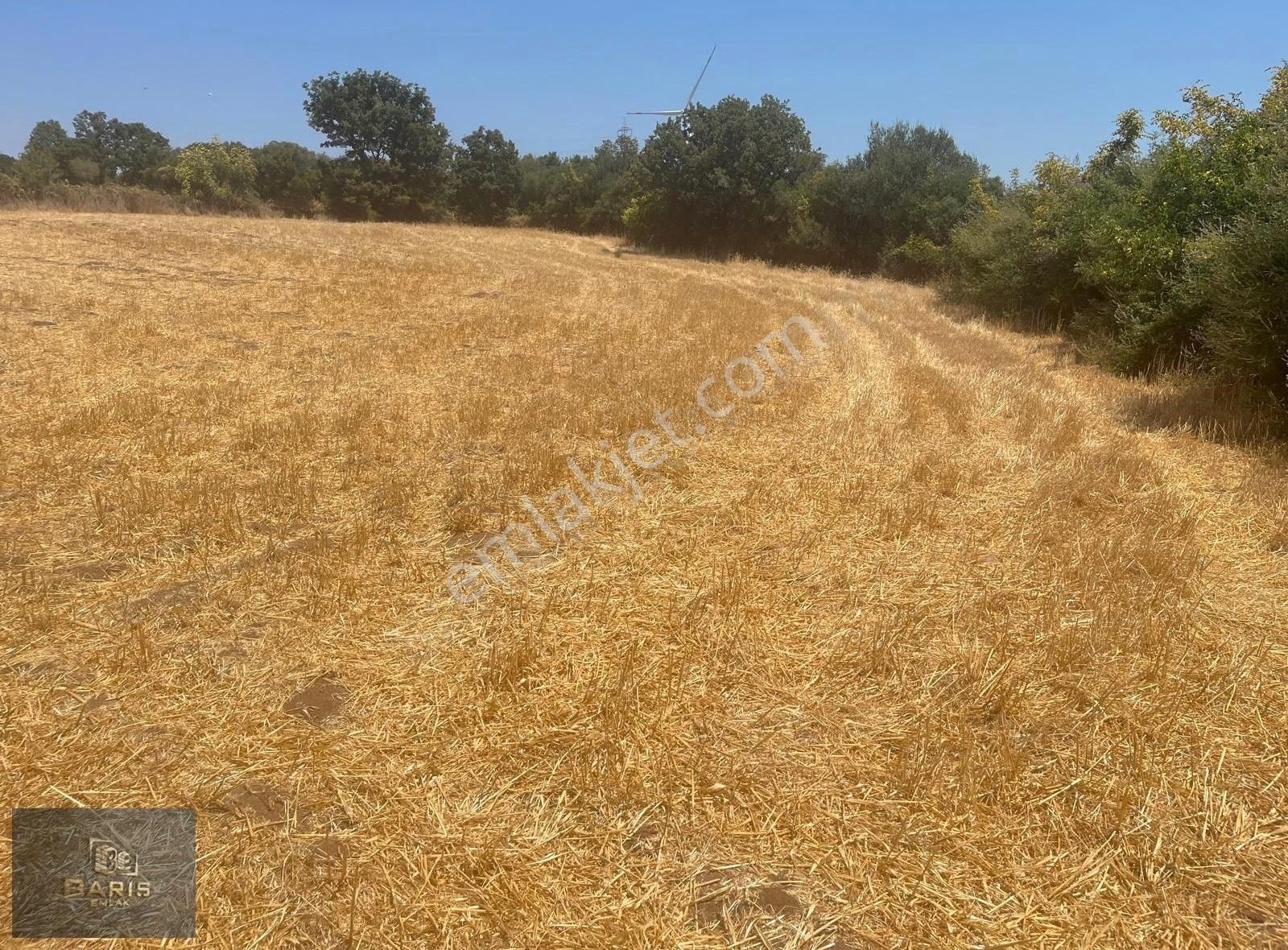 Çanakkale Bayramiç Bıyıklı Köyünde Satılık Tarla - Görsel 2