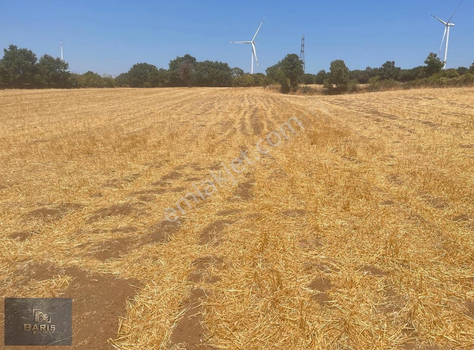 Çanakkale Bayramiç Bıyıklı Köyünde Satılık Tarla - Görsel 7